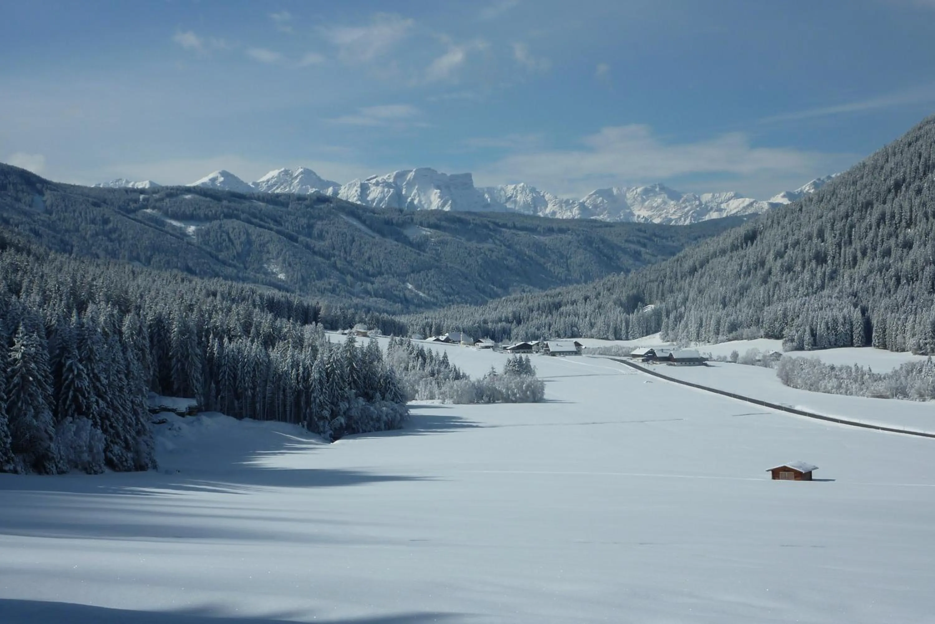 Winter in Residence Bannwald