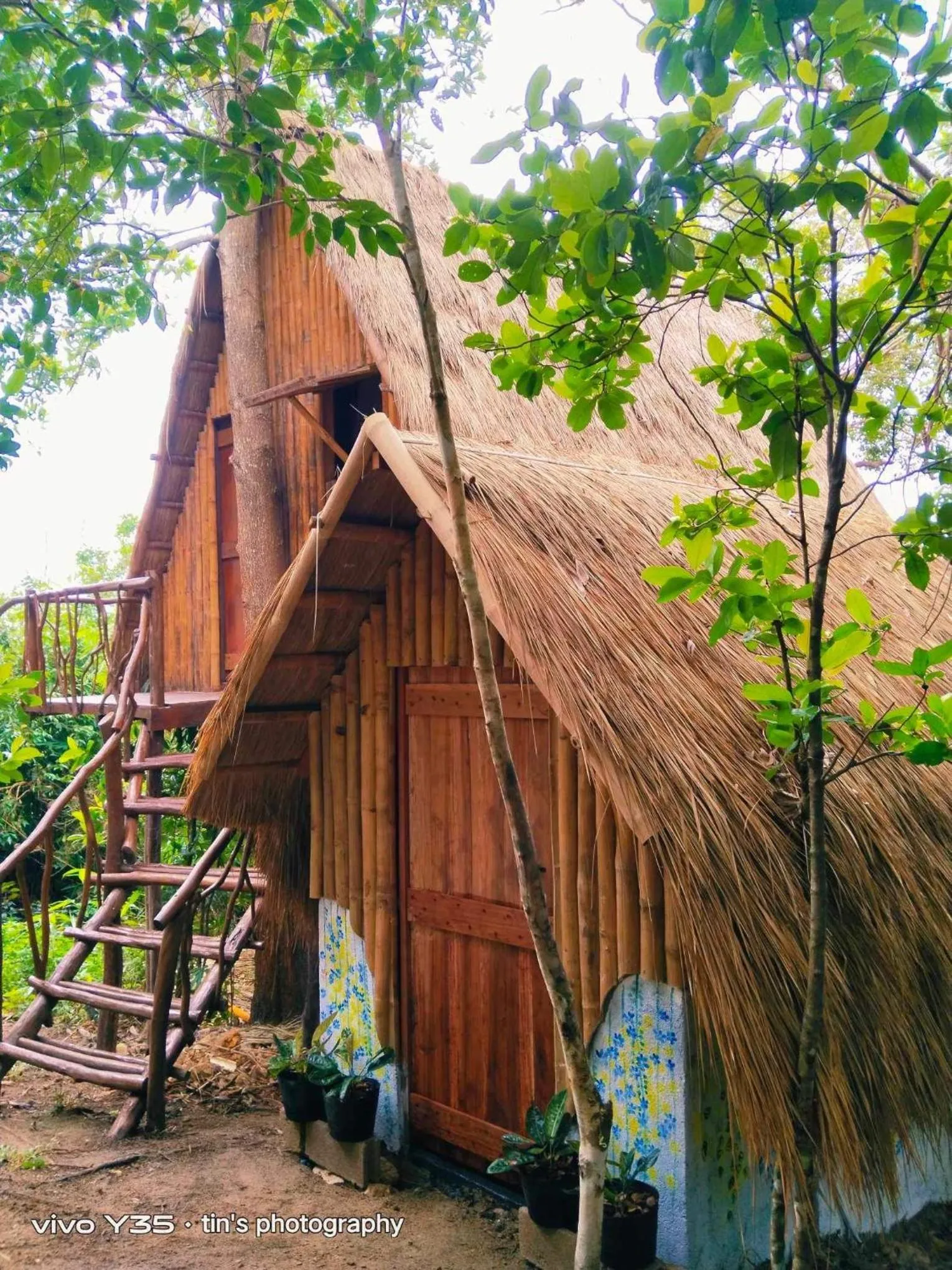 Sanctuaria Treehouses Busuanga