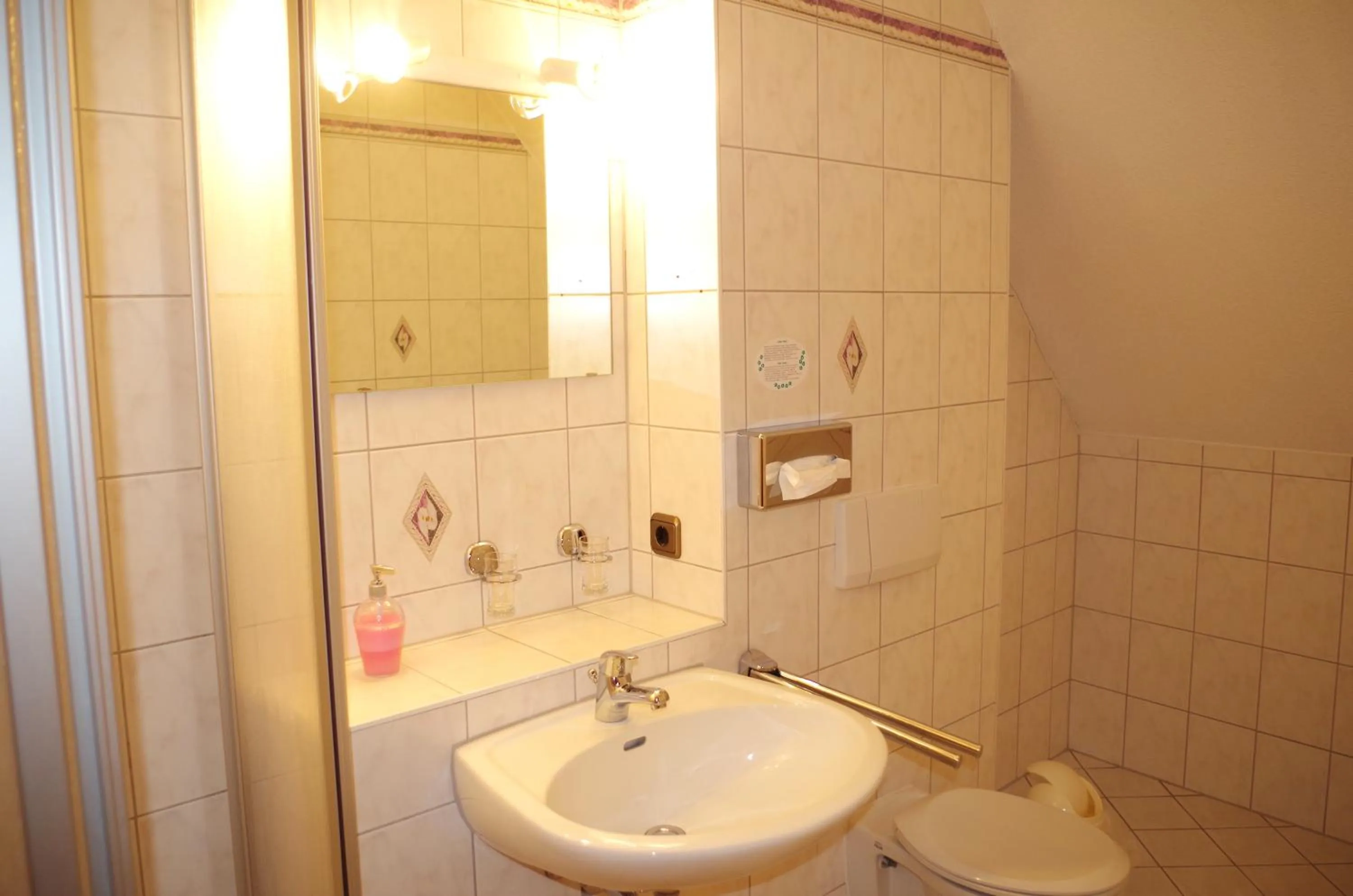 Toilet in Hotel Alttolkewitzer Hof