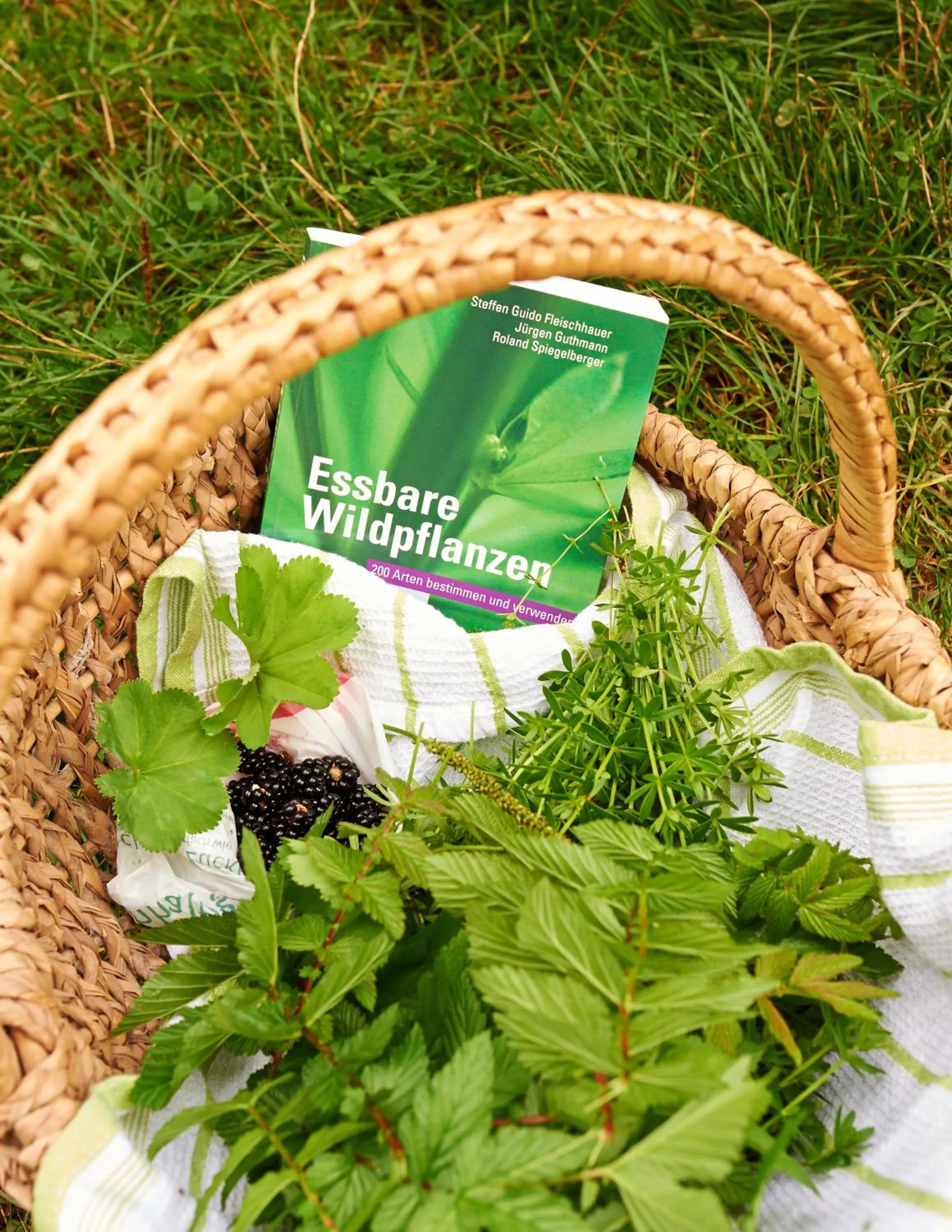 Activities in Naturkost-Hotel Harz