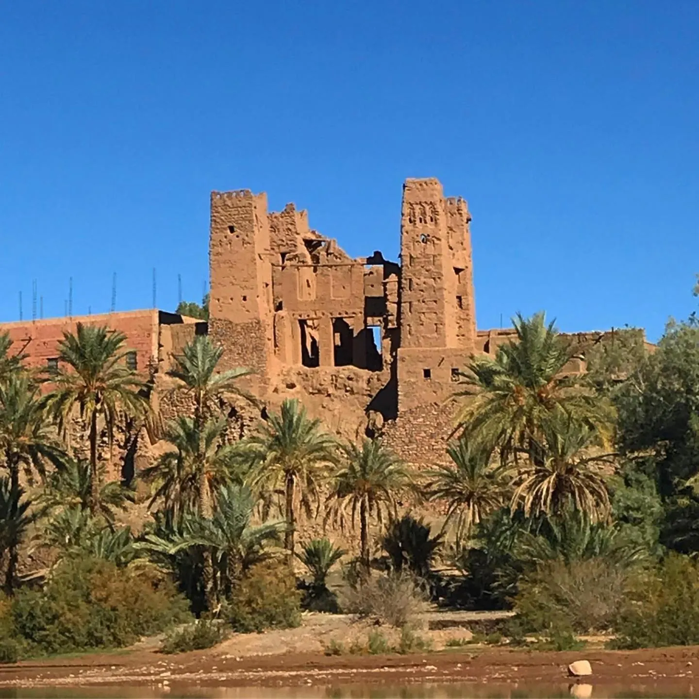 Bivouac Joudour Sahara