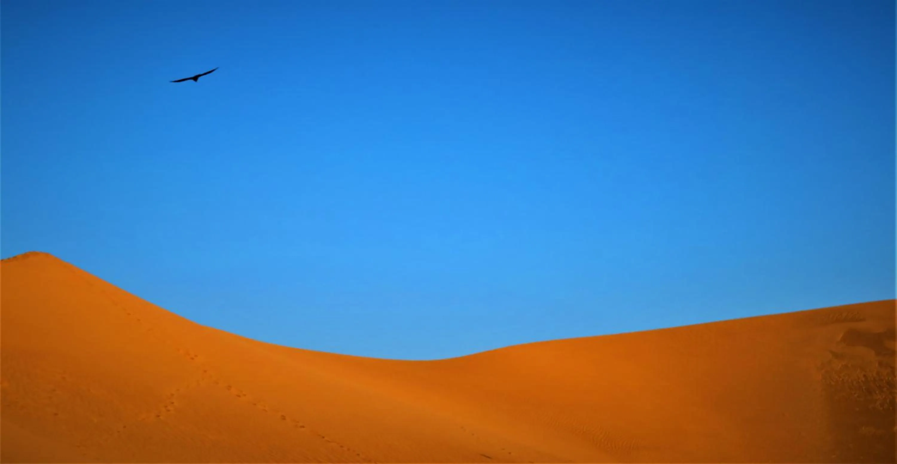 Bivouac Joudour Sahara