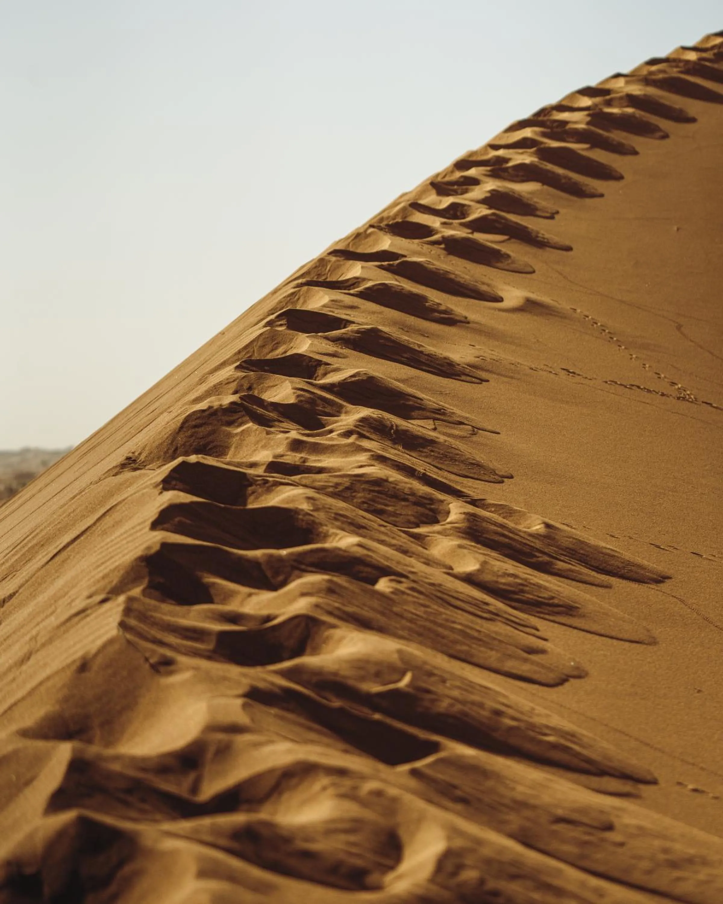 Bivouac Joudour Sahara