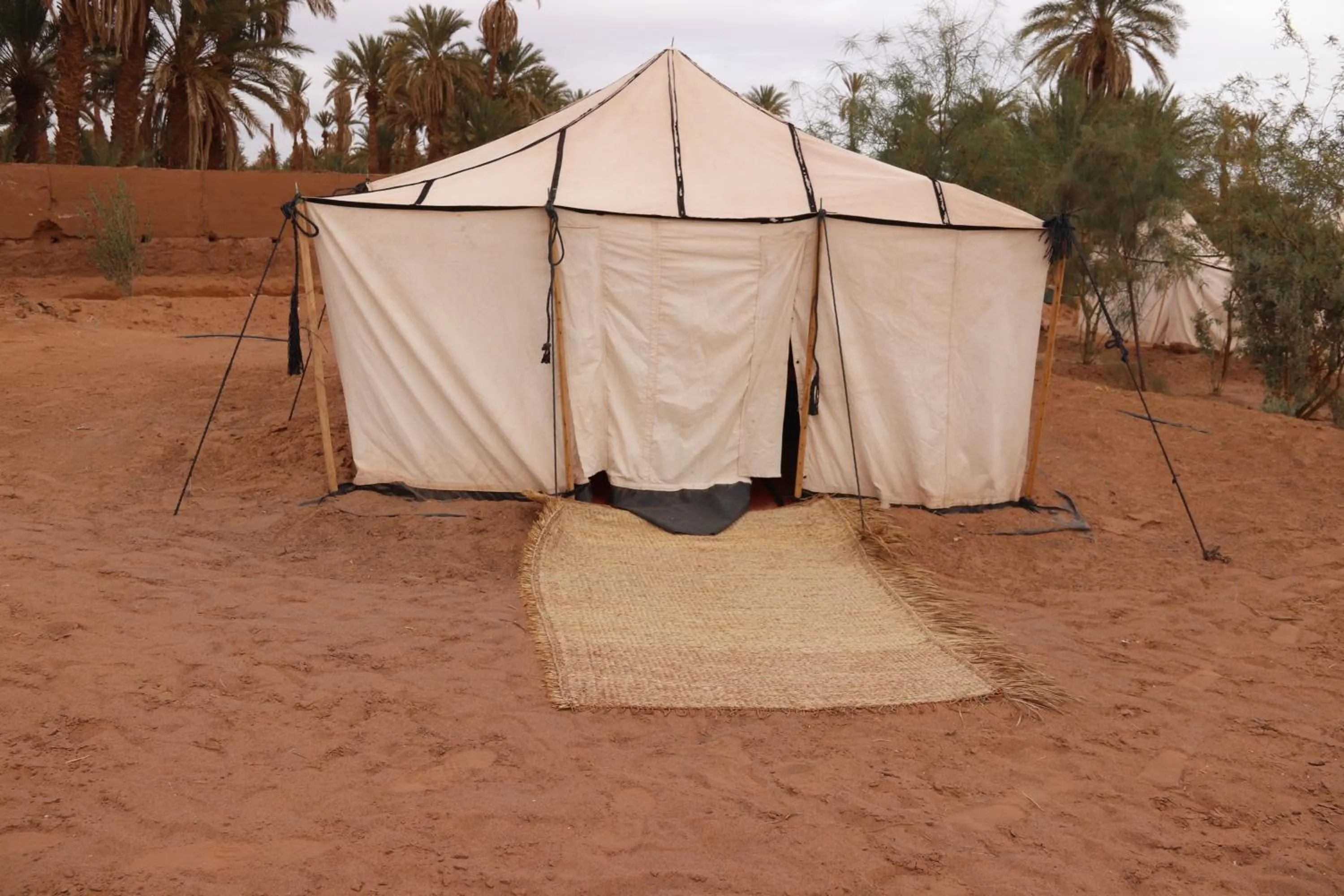 Bivouac Joudour Sahara