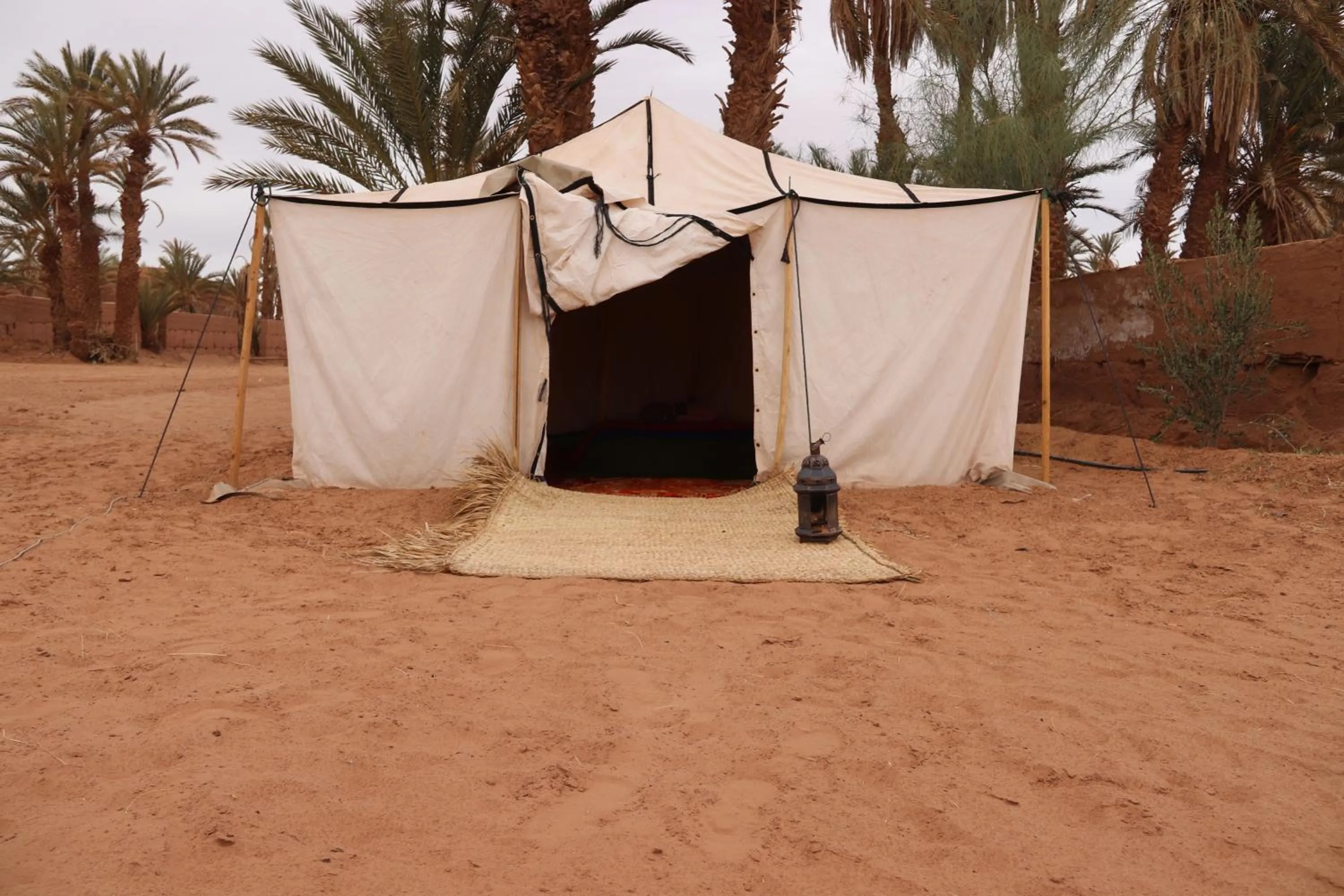 Bivouac Joudour Sahara