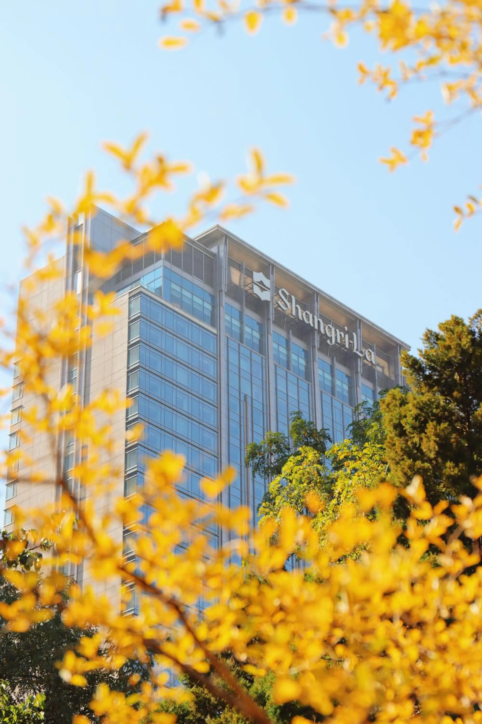 Property building in Shangri-La Shenyang