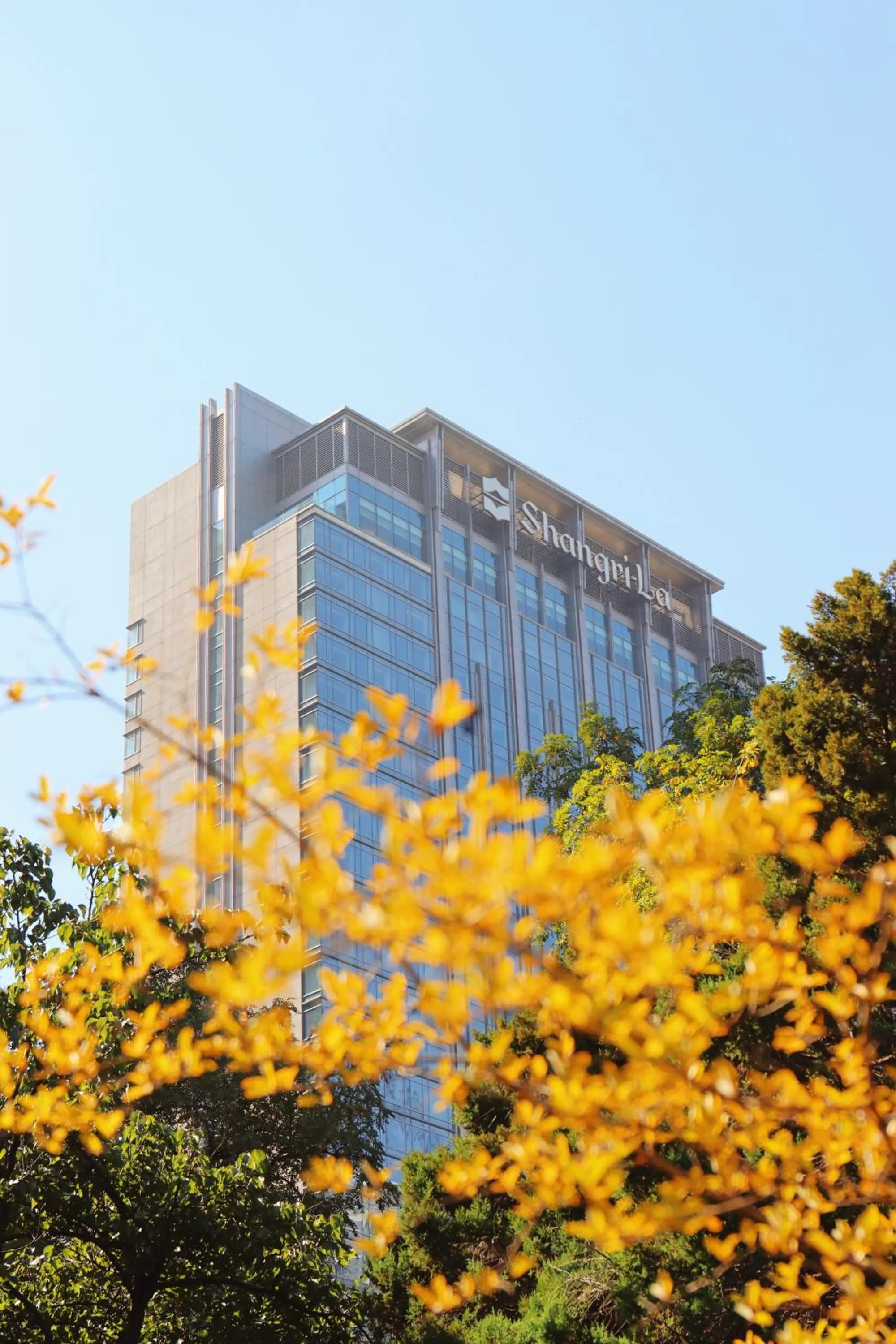 Property building in Shangri-La Shenyang