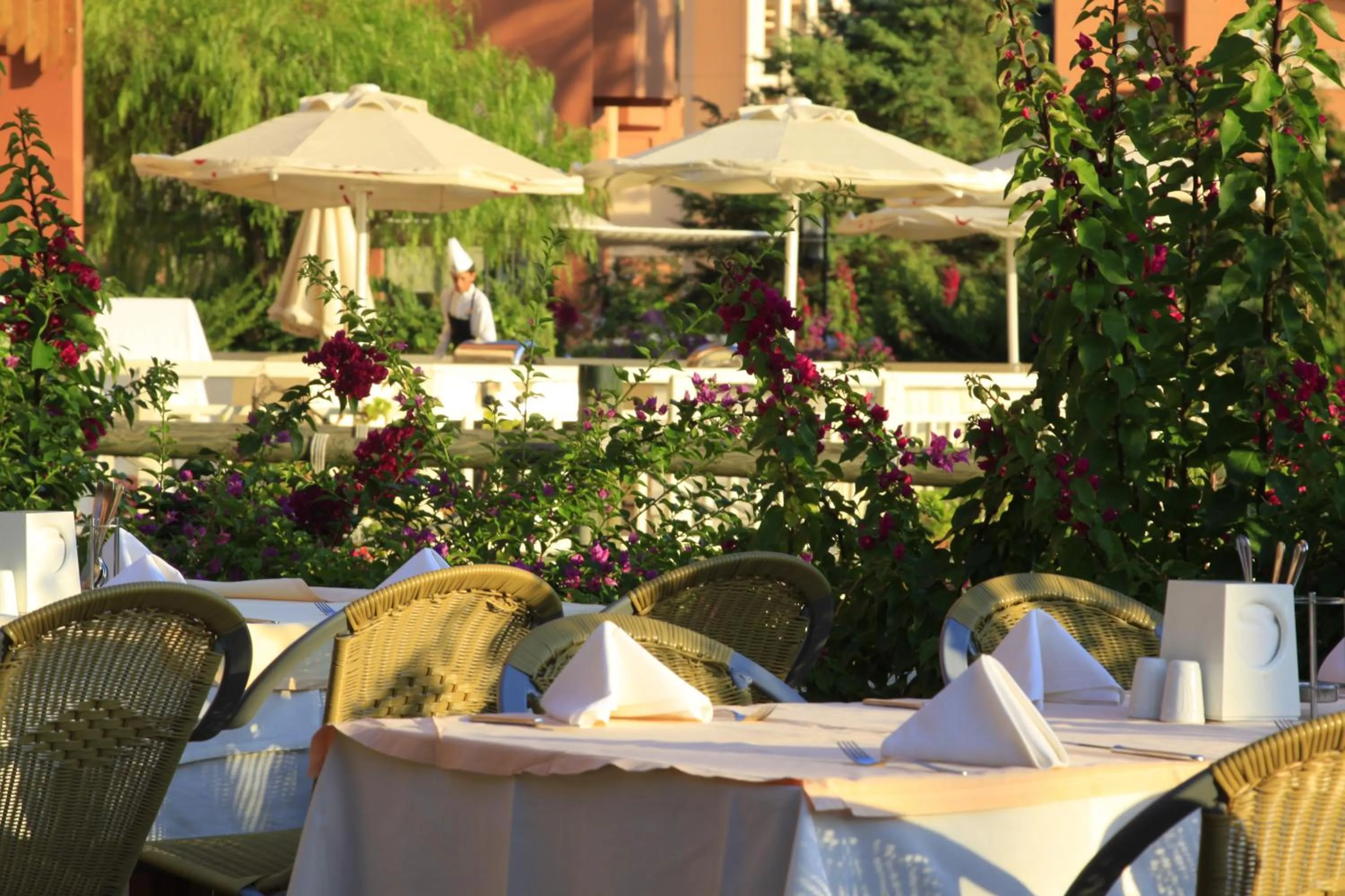 Restaurant/places to eat in AQI Pegasos Resort