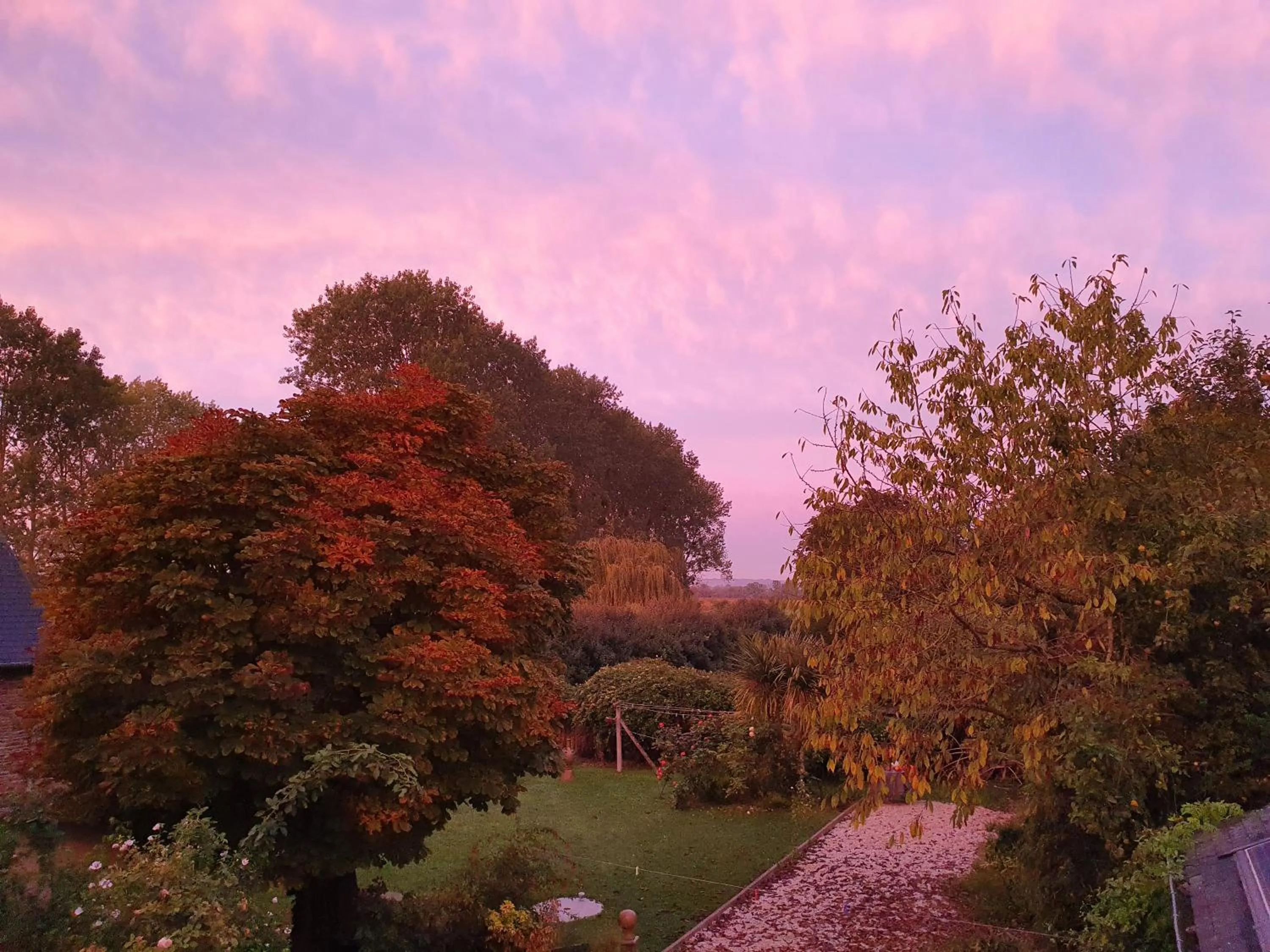 Garden view in La Bastide du Moulin - Mont St Michel