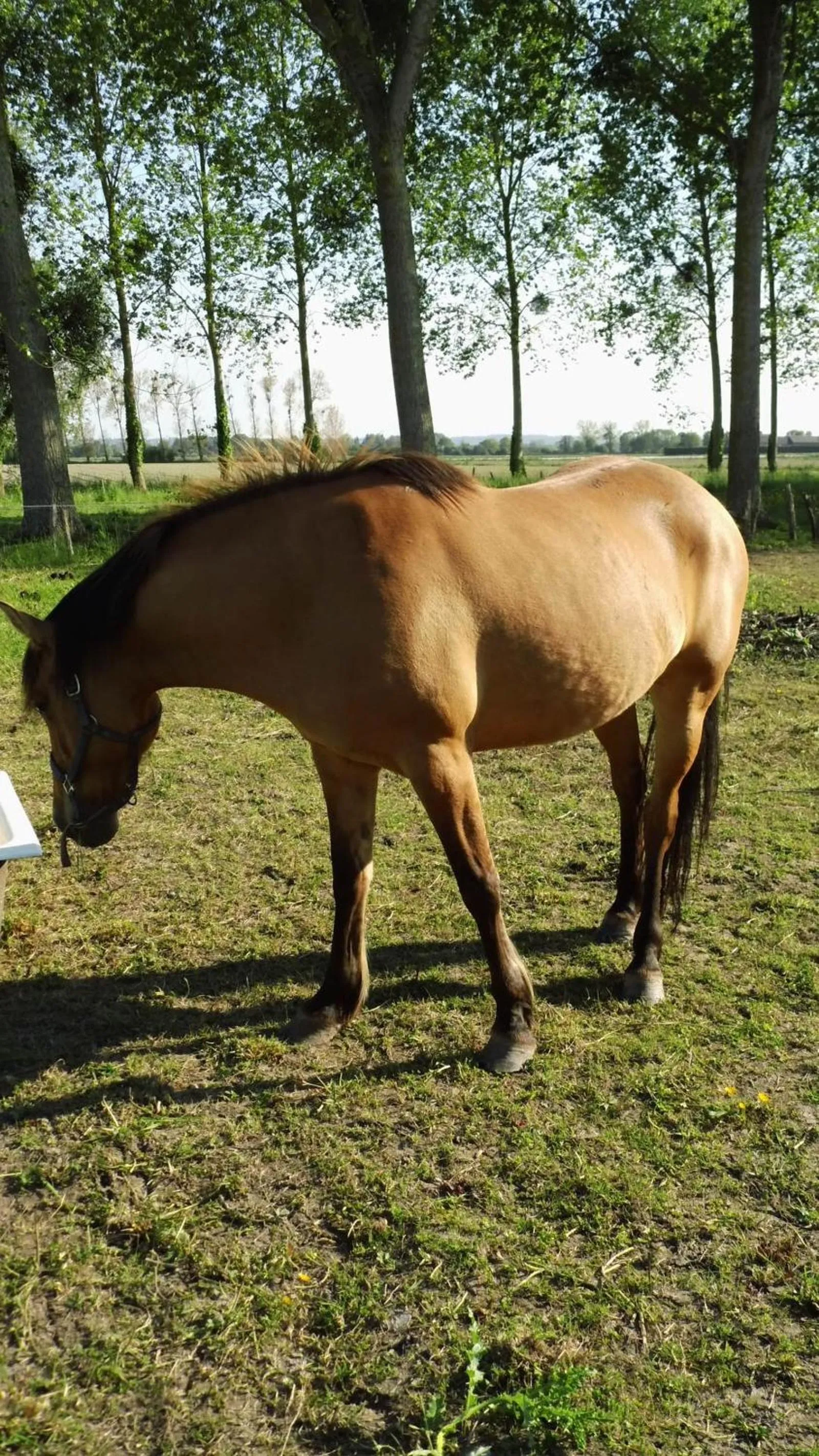 Facade/entrance in La Bastide du Moulin - Mont St Michel