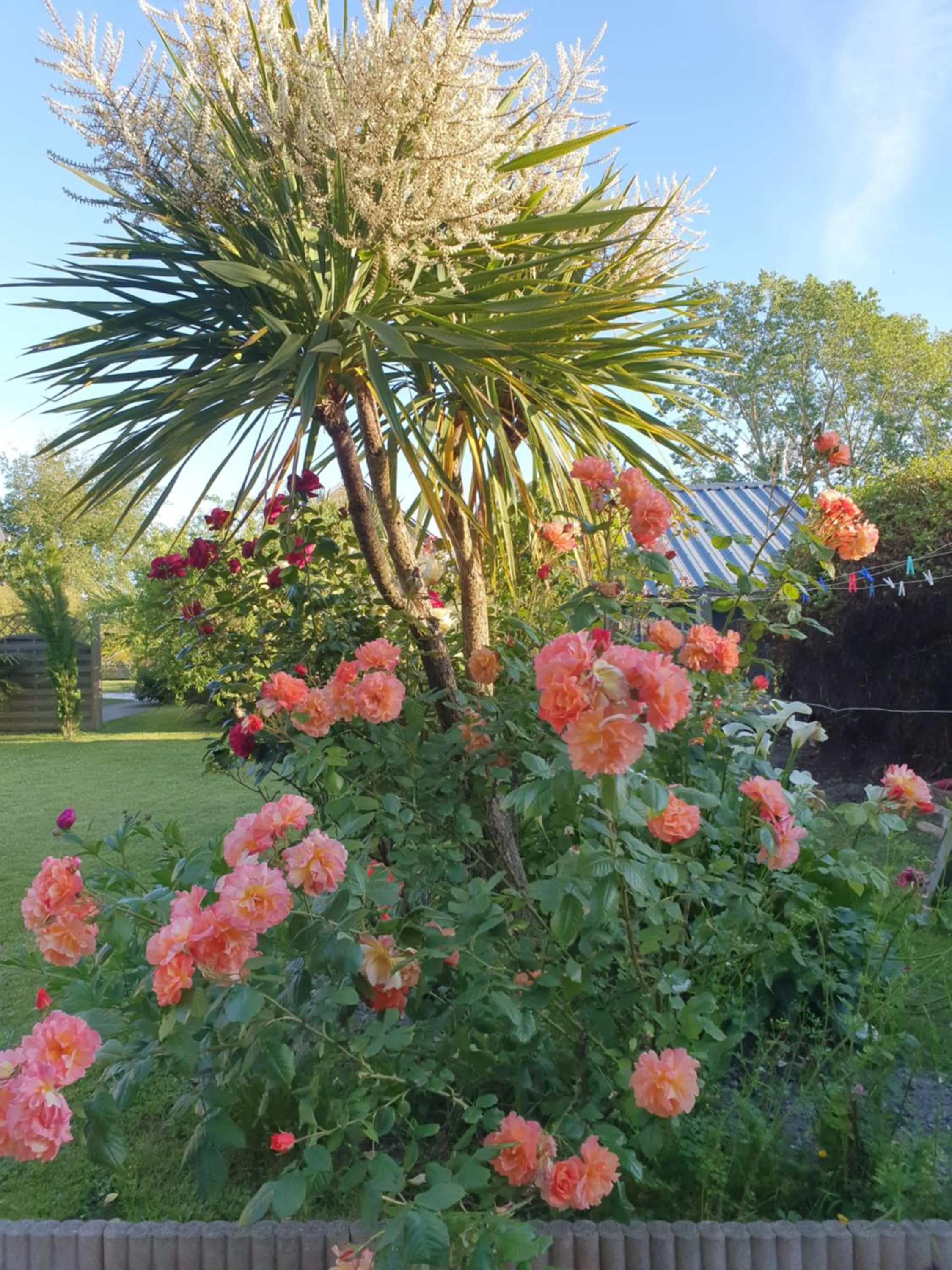 Garden in La Bastide du Moulin - Mont St Michel