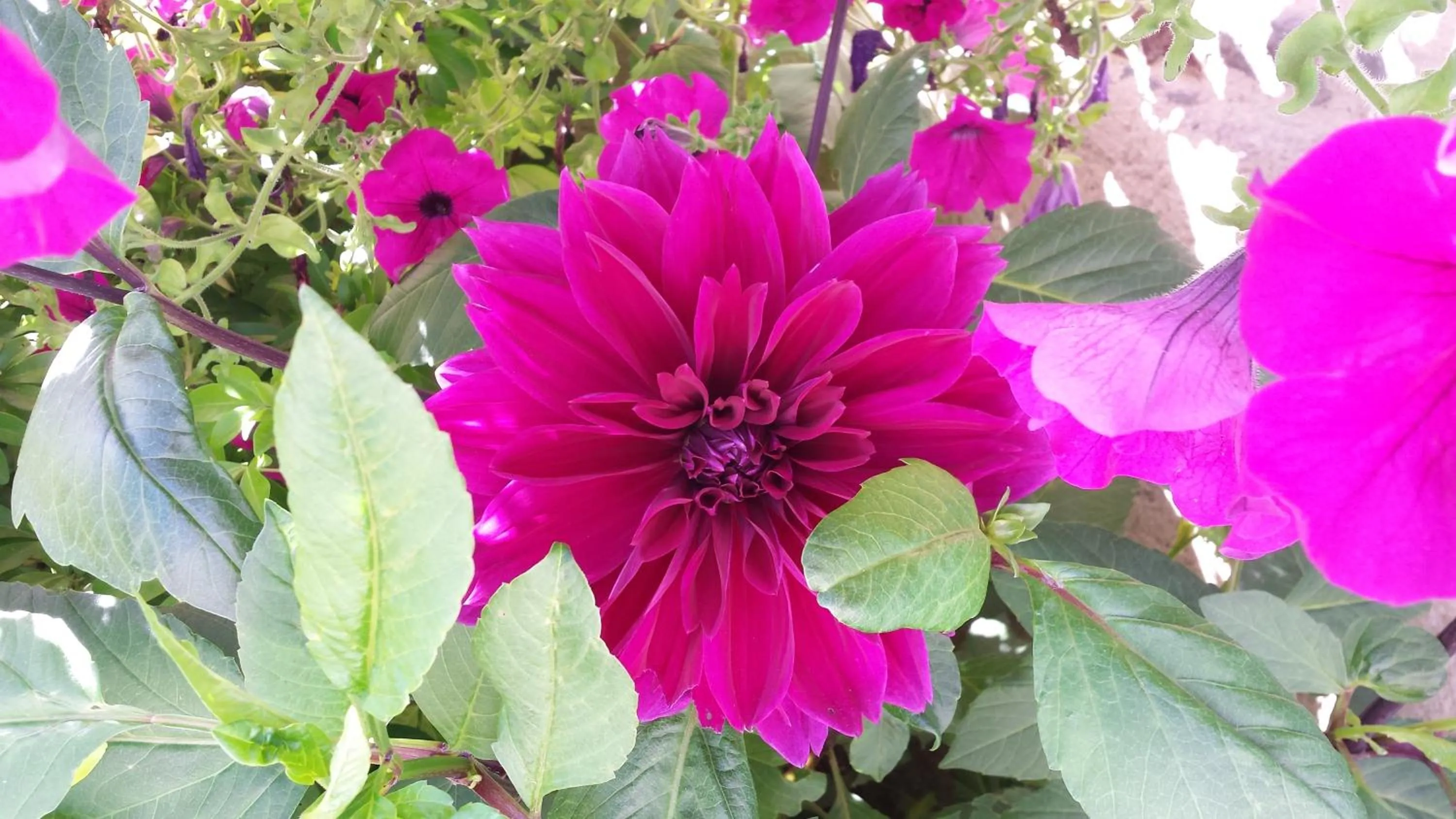 Facade/entrance in La Bastide du Moulin - Mont St Michel