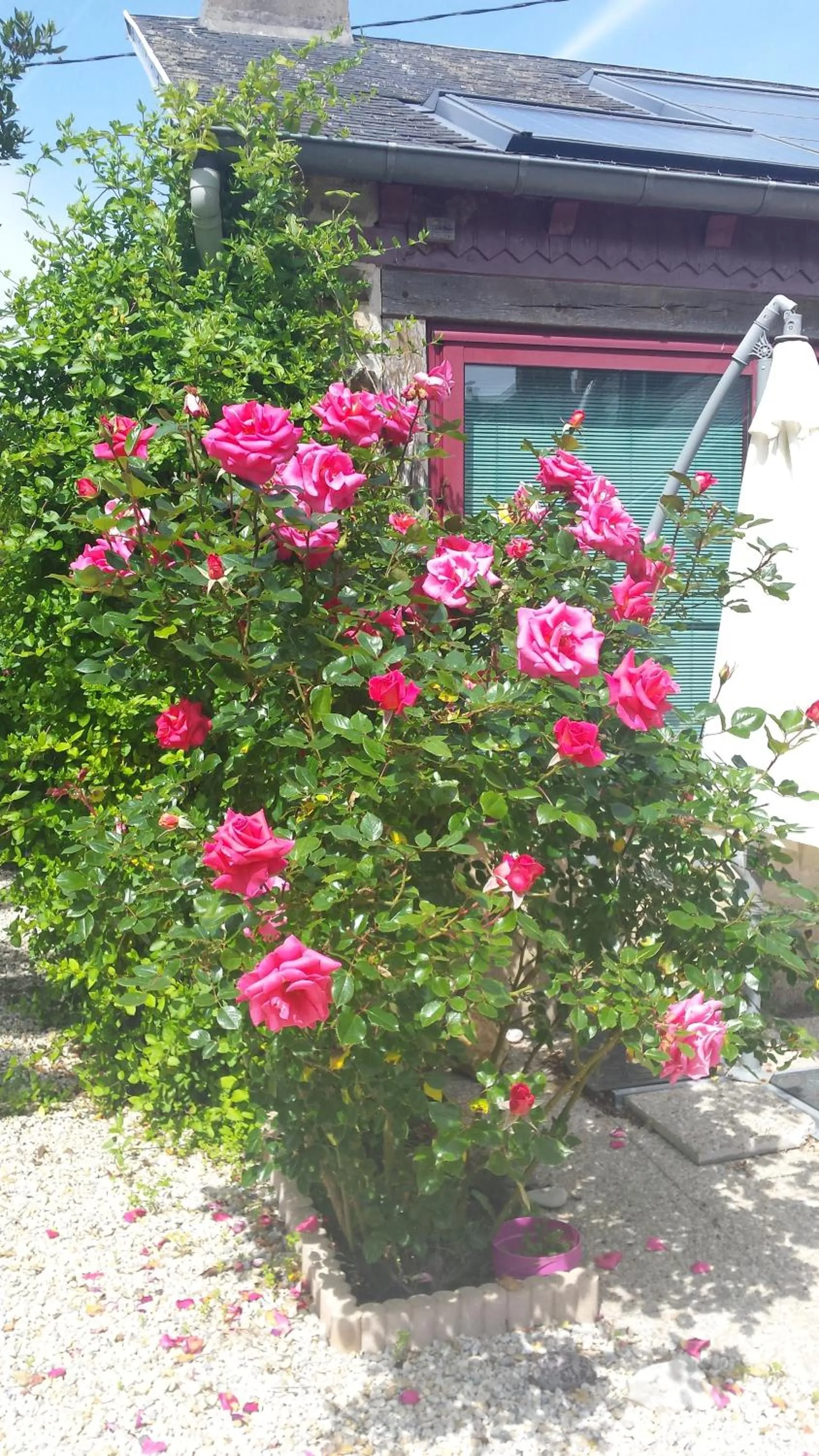 Garden in La Bastide du Moulin - Mont St Michel