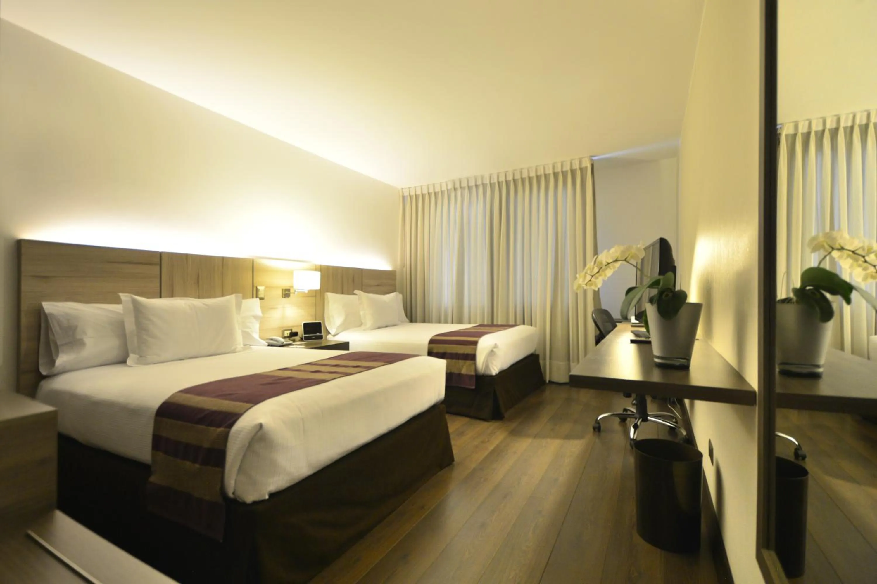 Premium Twin Room in Aku Hotels