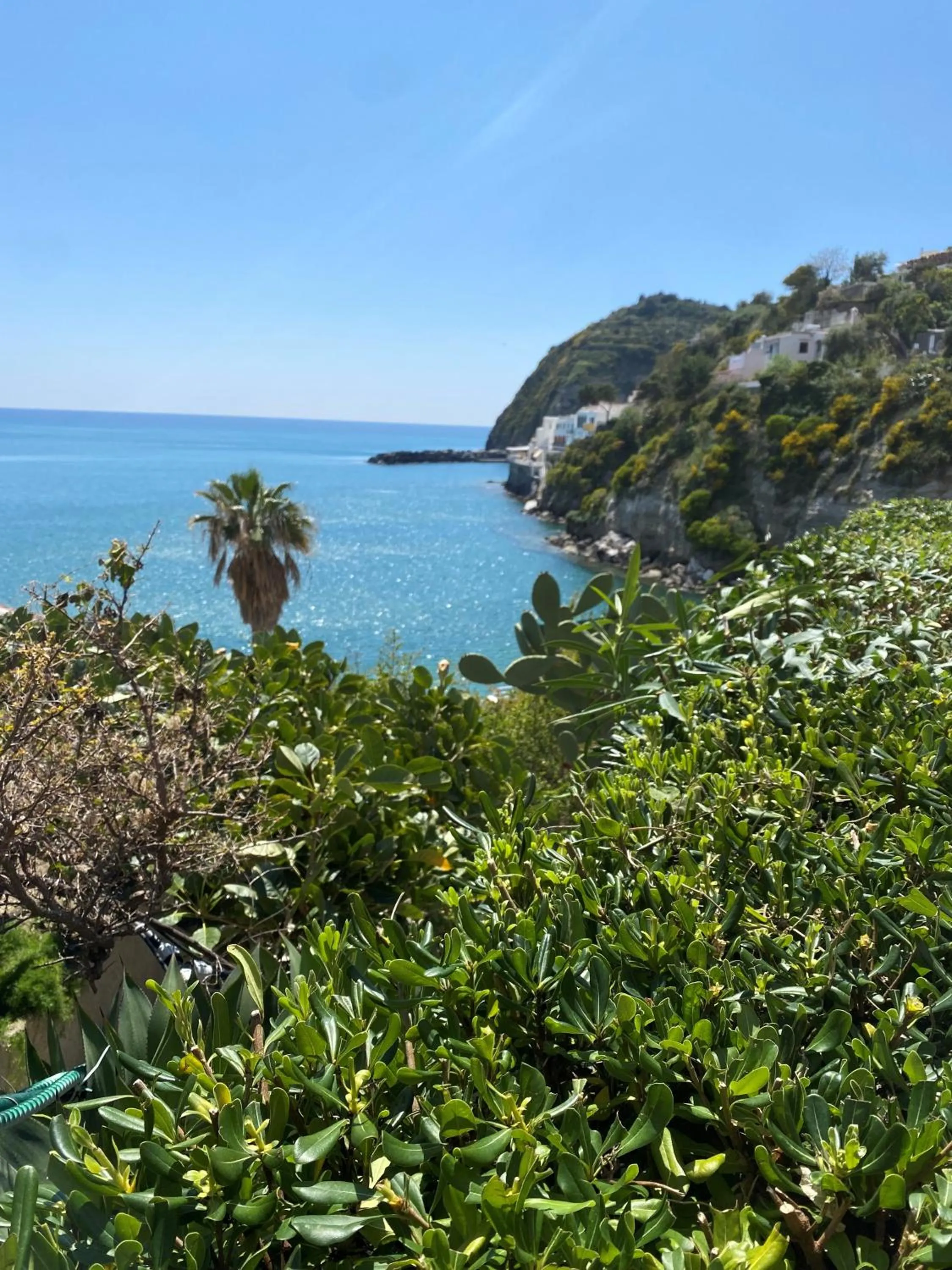 Hotel Casa Rosa Sea & Spa