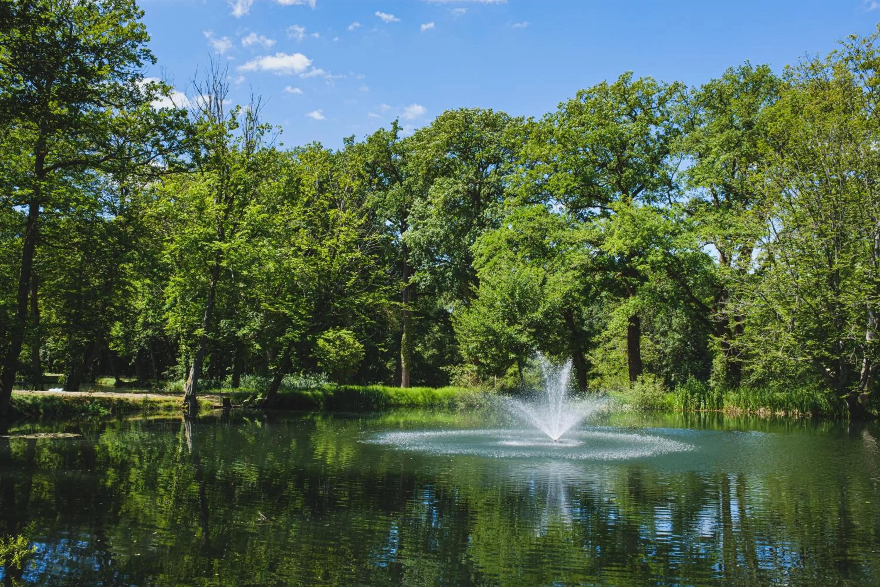 Natural landscape in Domaine de la Résidence - Hôtel, Spa & Restaurant