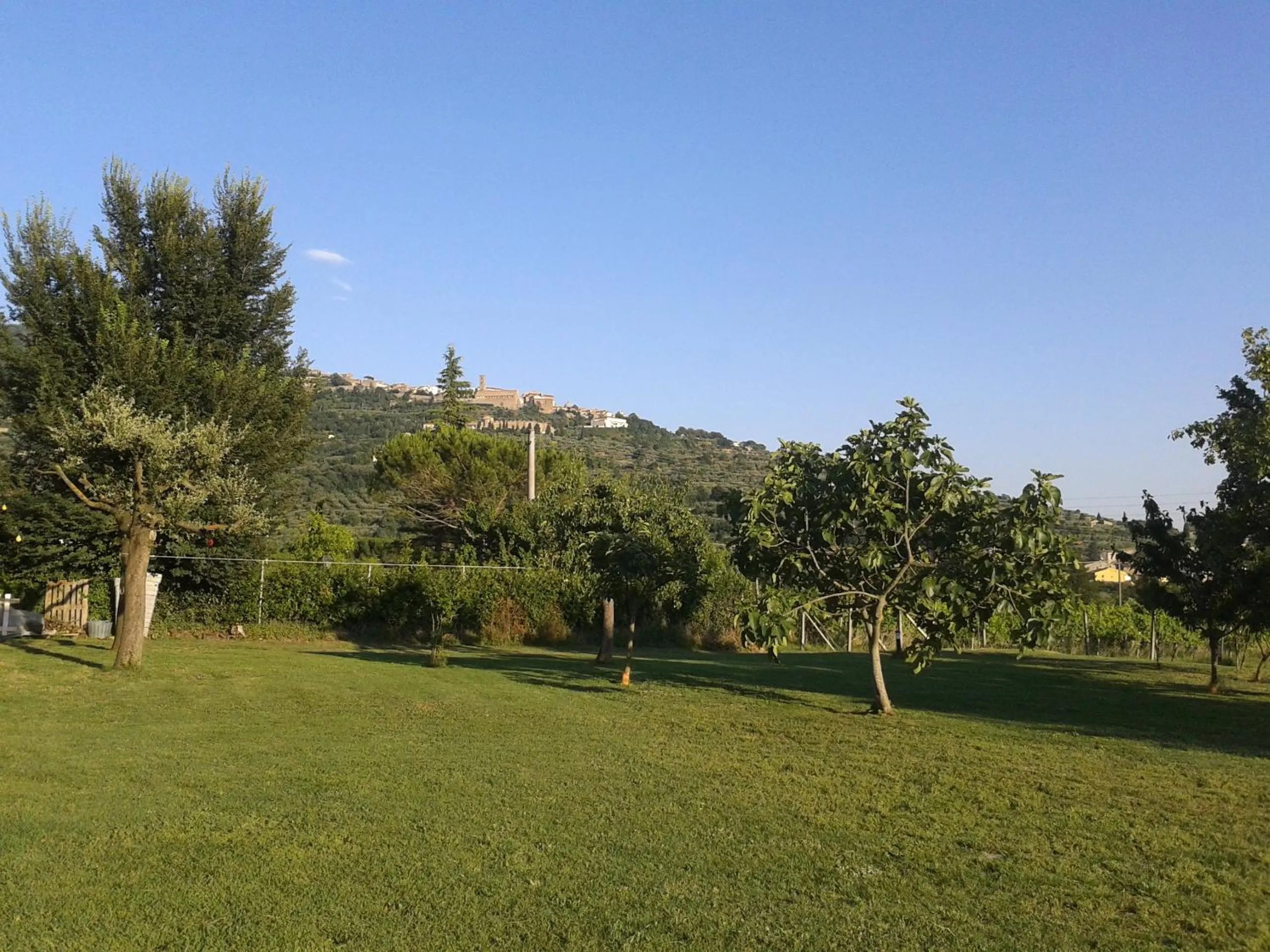 Garden in Casa Soleluna B&B