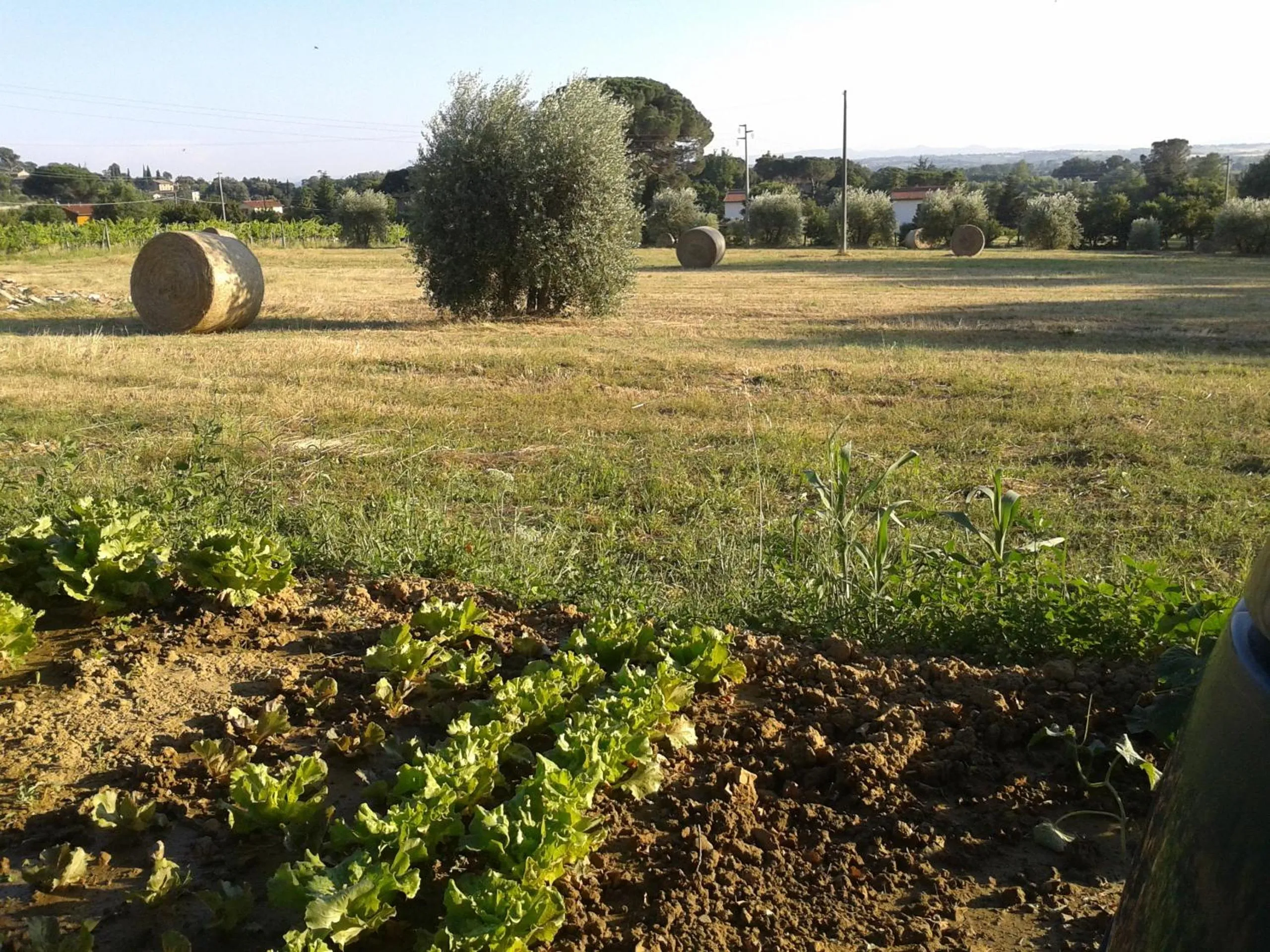 Facade/entrance in Casa Soleluna B&B