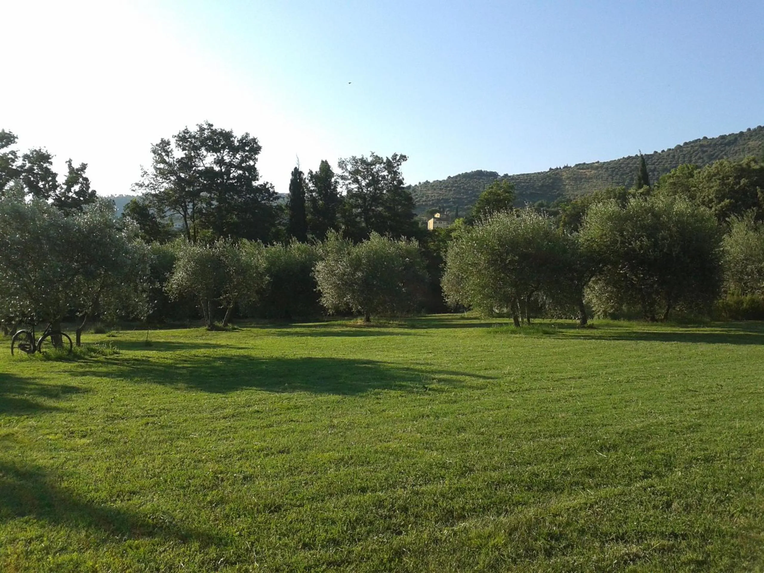 Garden in Casa Soleluna B&B