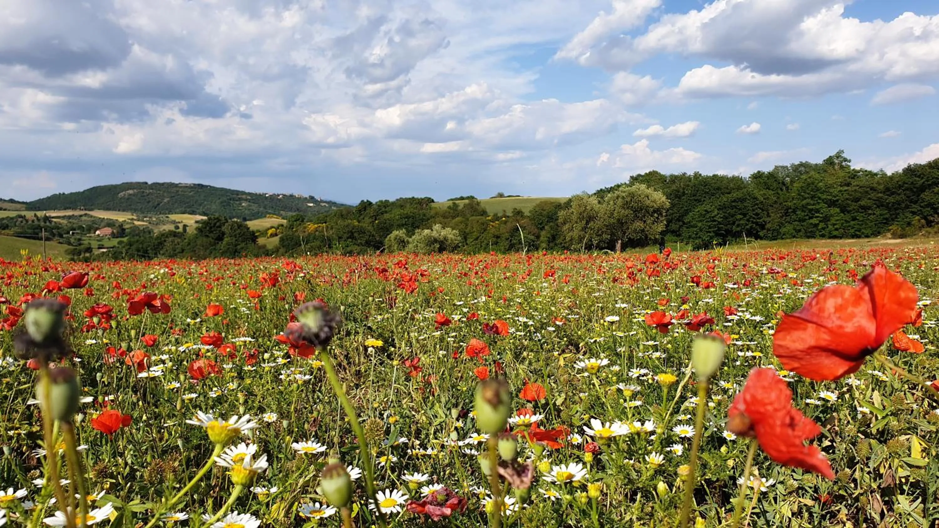 Natural landscape in Casa Soleluna B&B