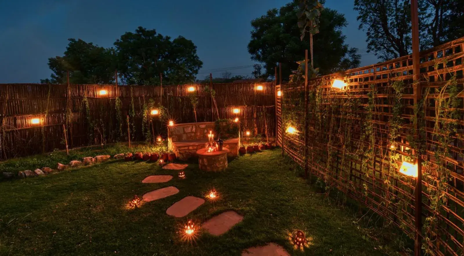 Dhara in The Earth at Ranthambore Dhara in The Earth at Ranthambore