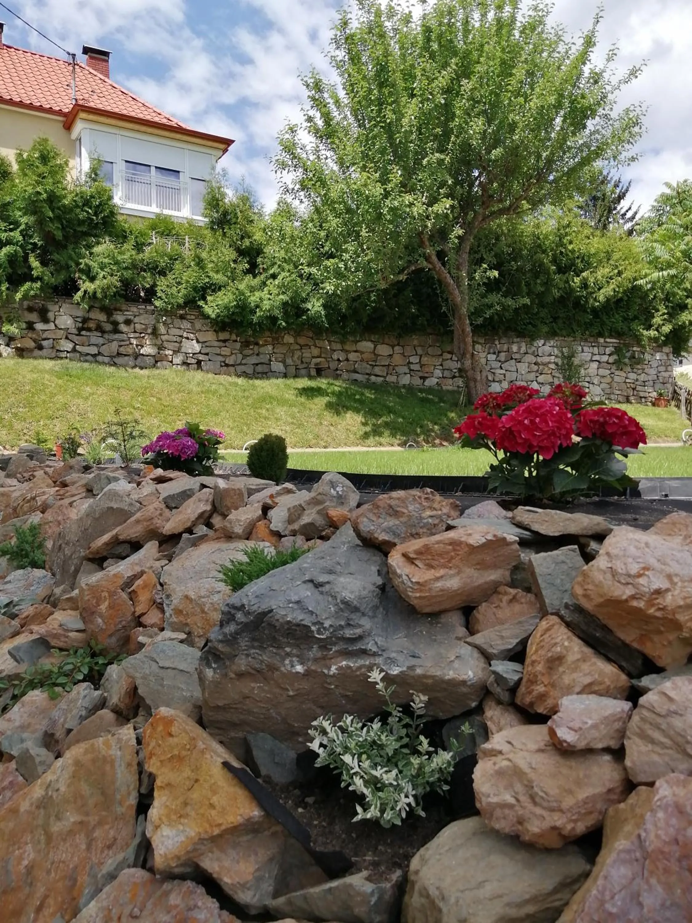 Garden in Hillside Rooms