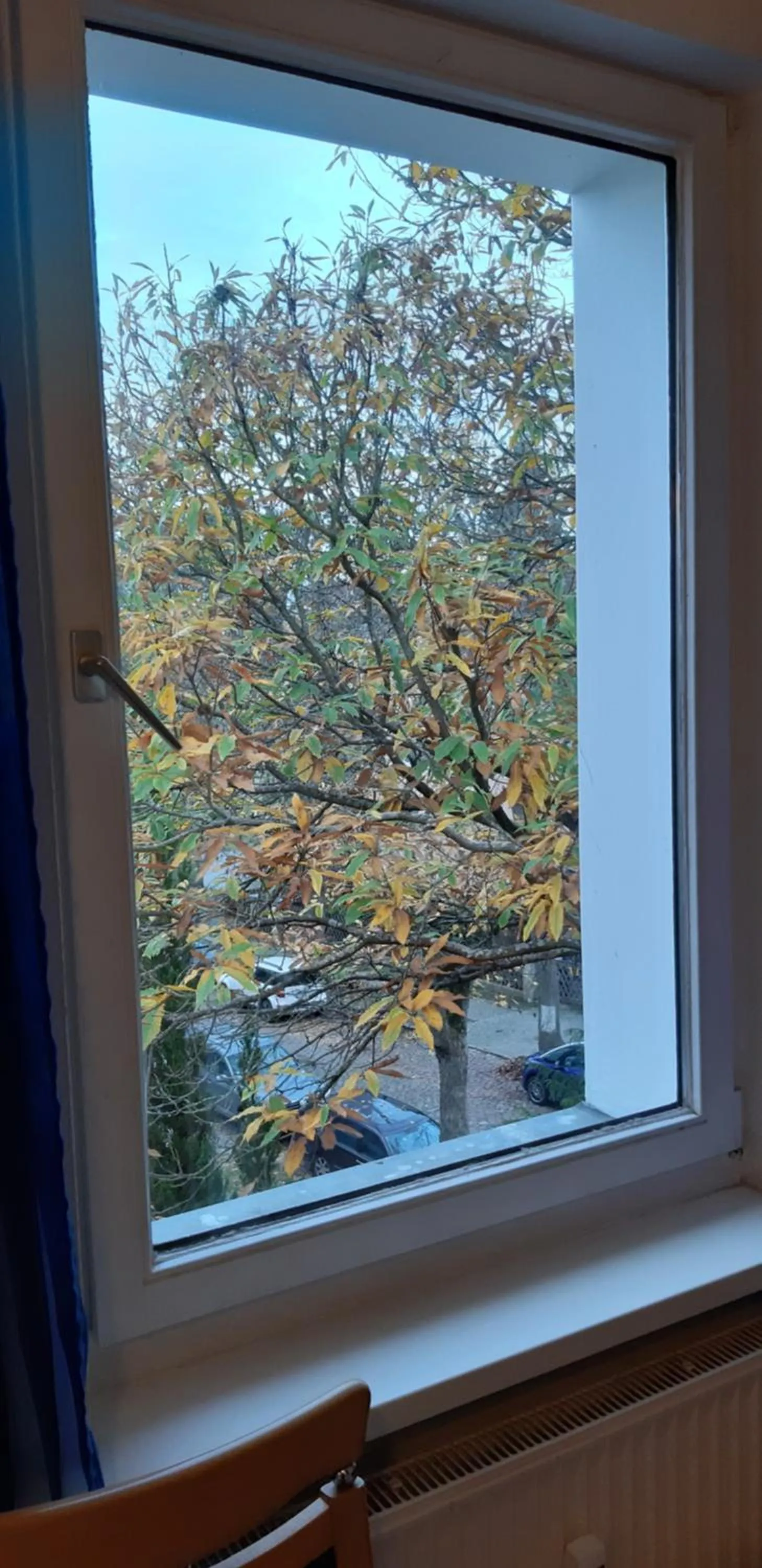 View (from property/room) in Pension Hubertus