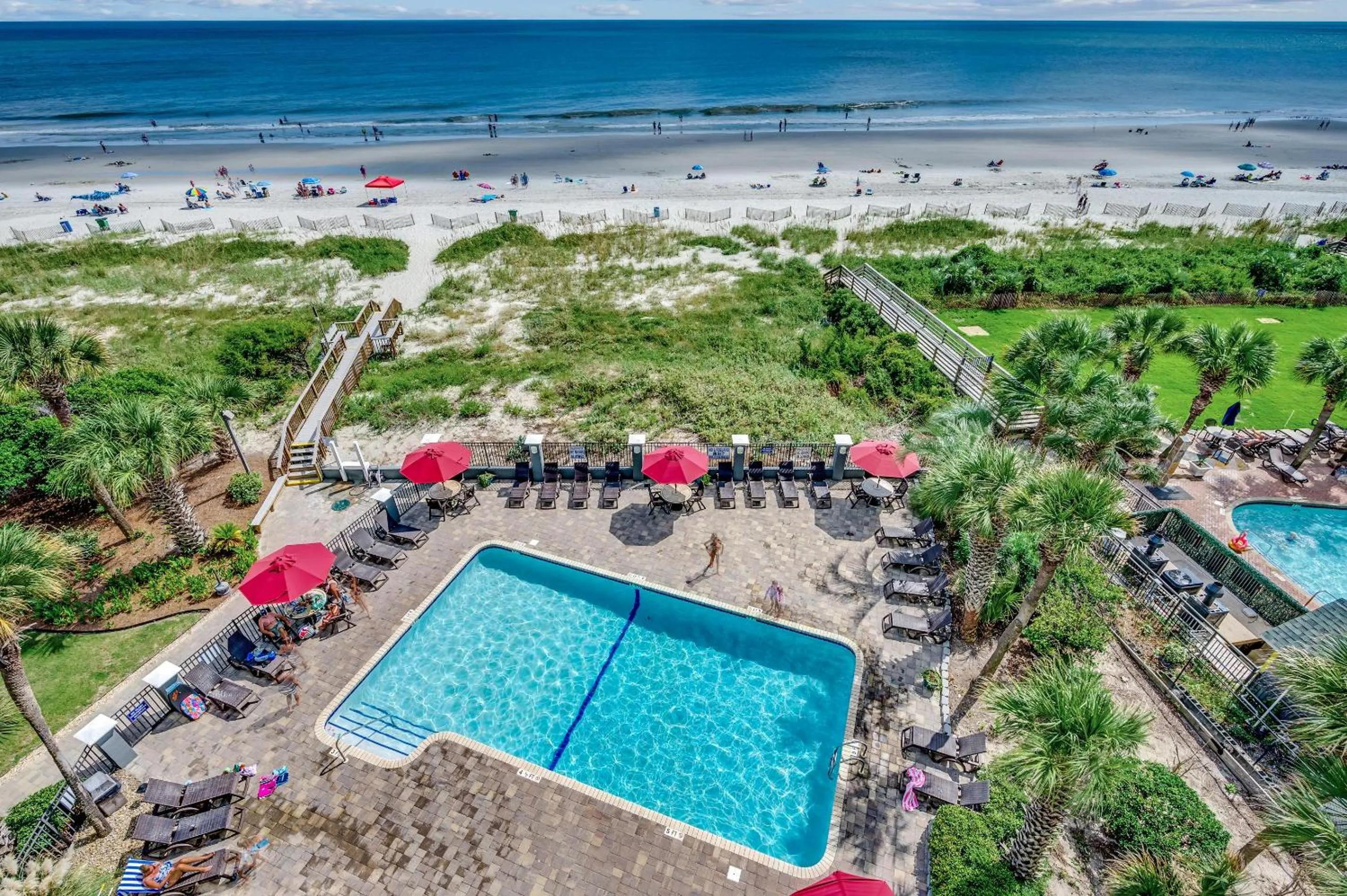 Carolina Dunes - 506