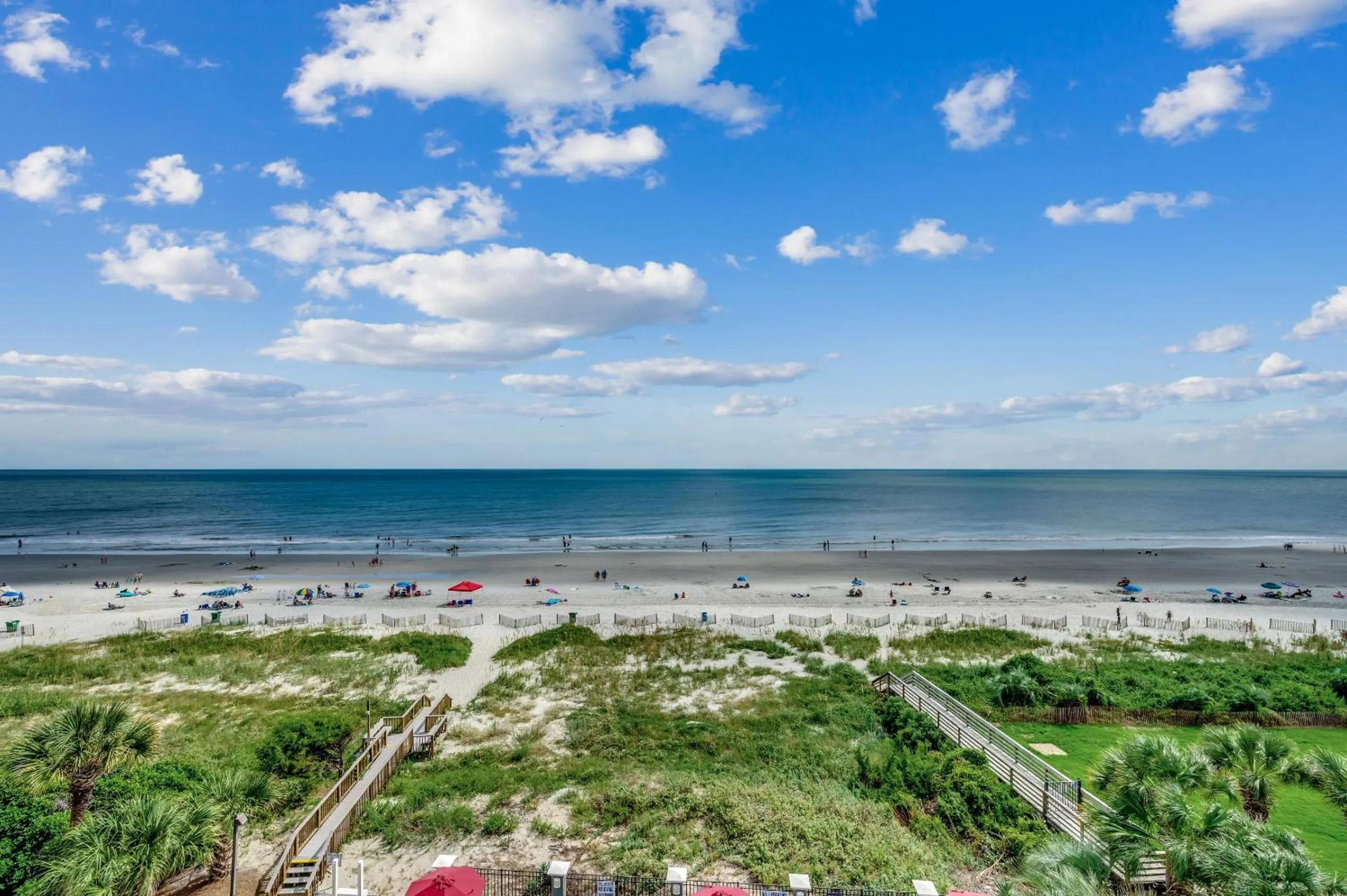 Carolina Dunes - 506