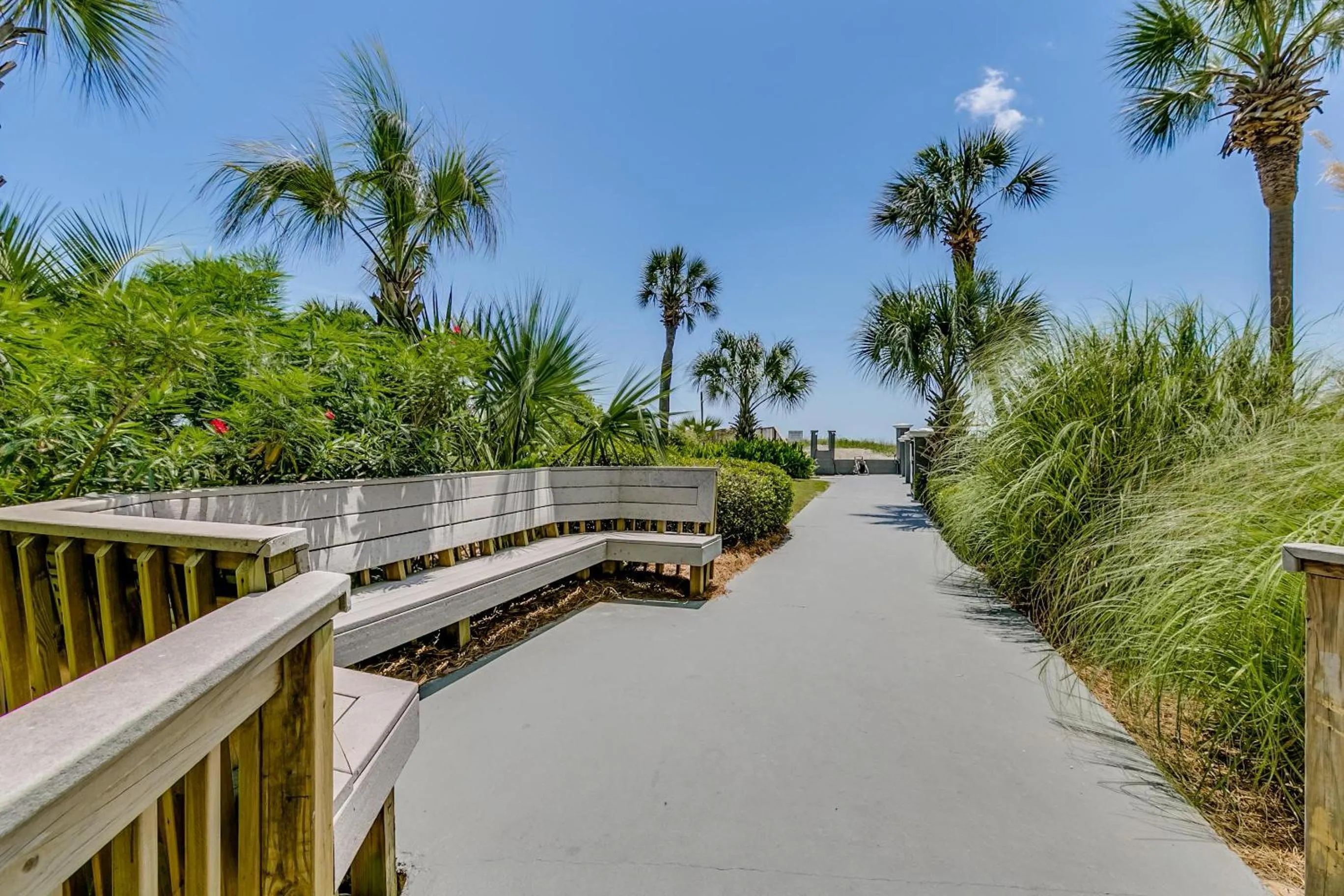 Carolina Dunes - 404