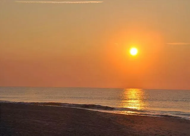 Carolina Dunes - 404