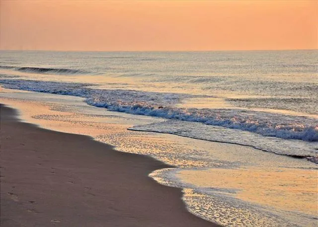 Carolina Dunes - 404