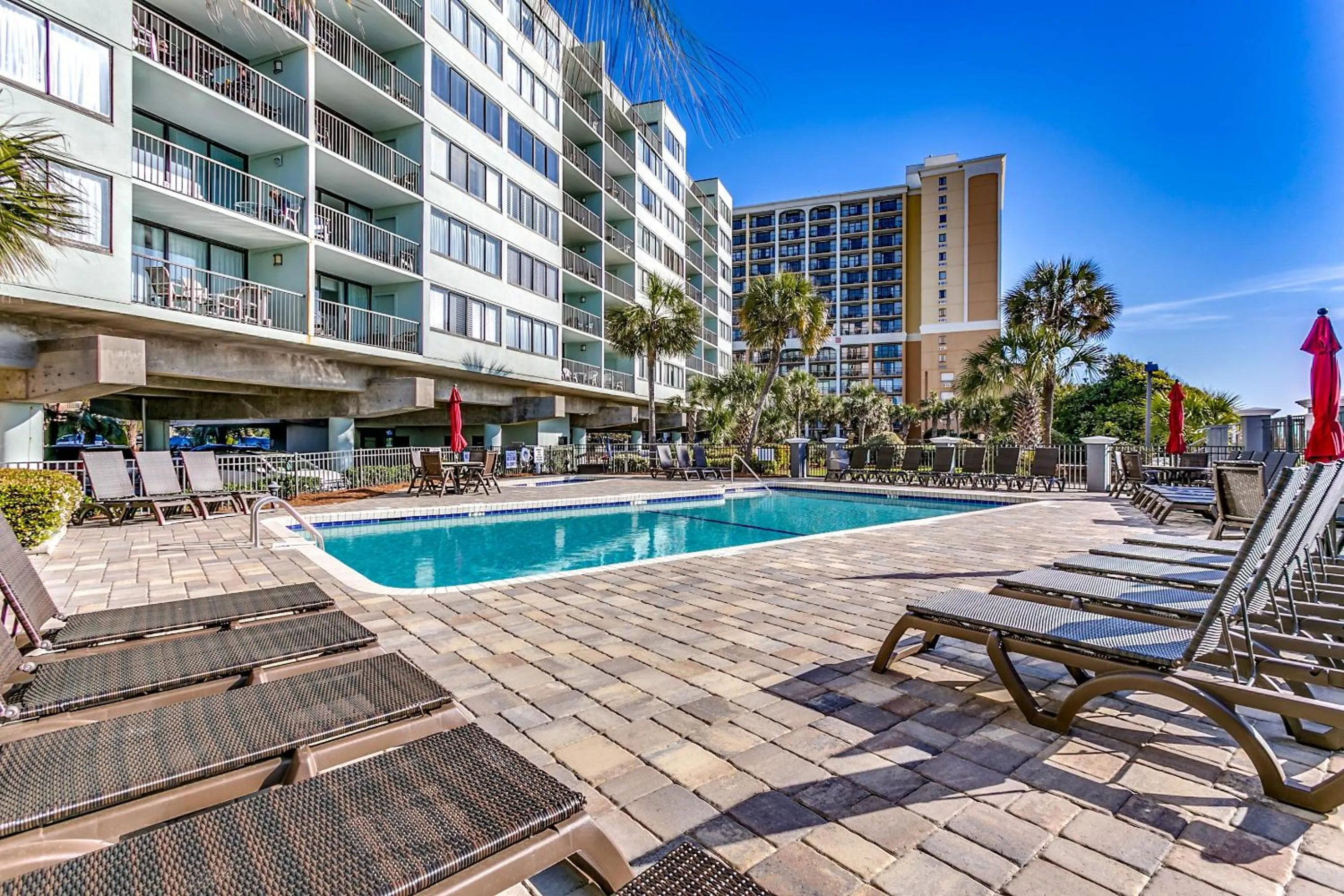 Carolina Dunes - 403