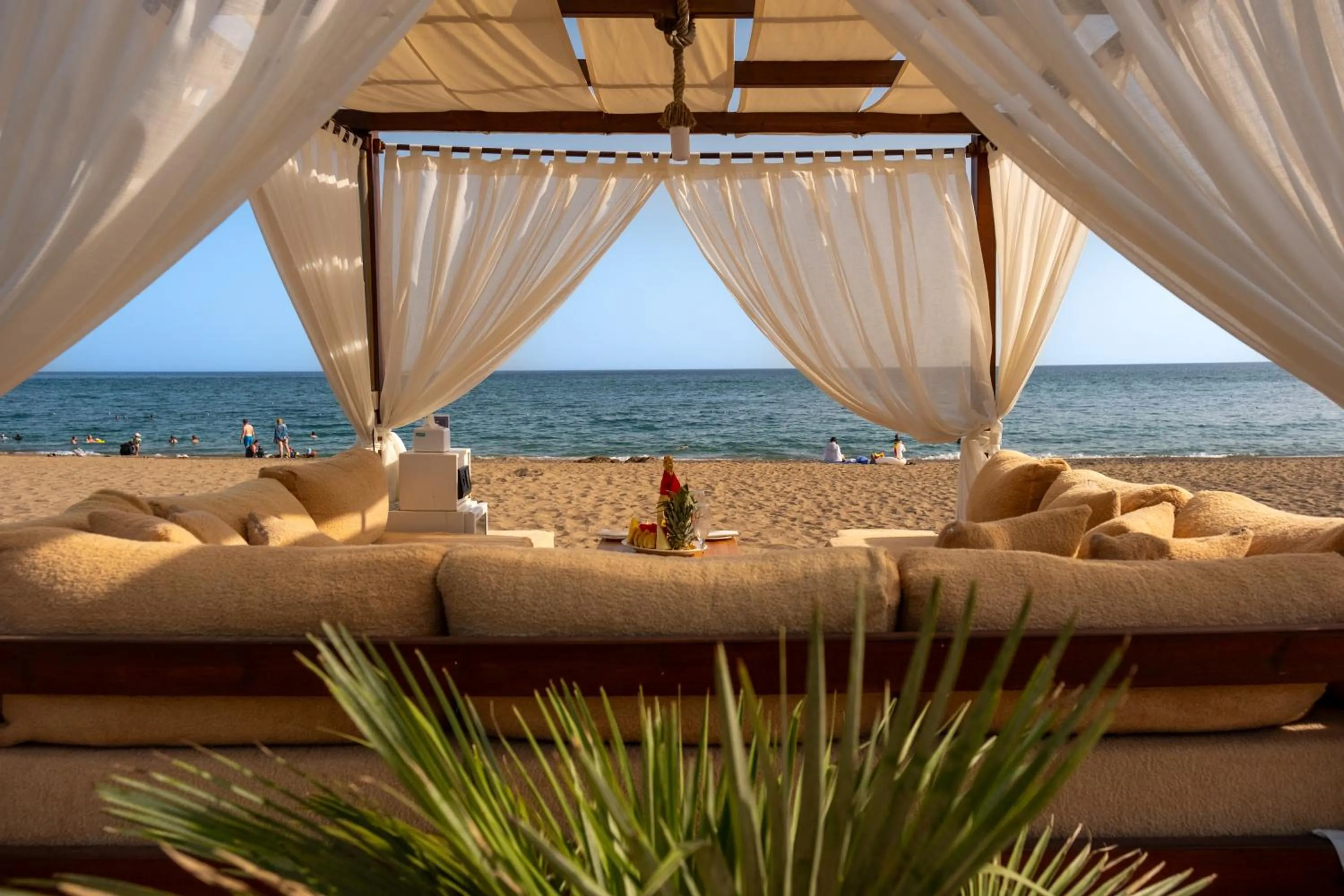 Day in AQI Pegasos World