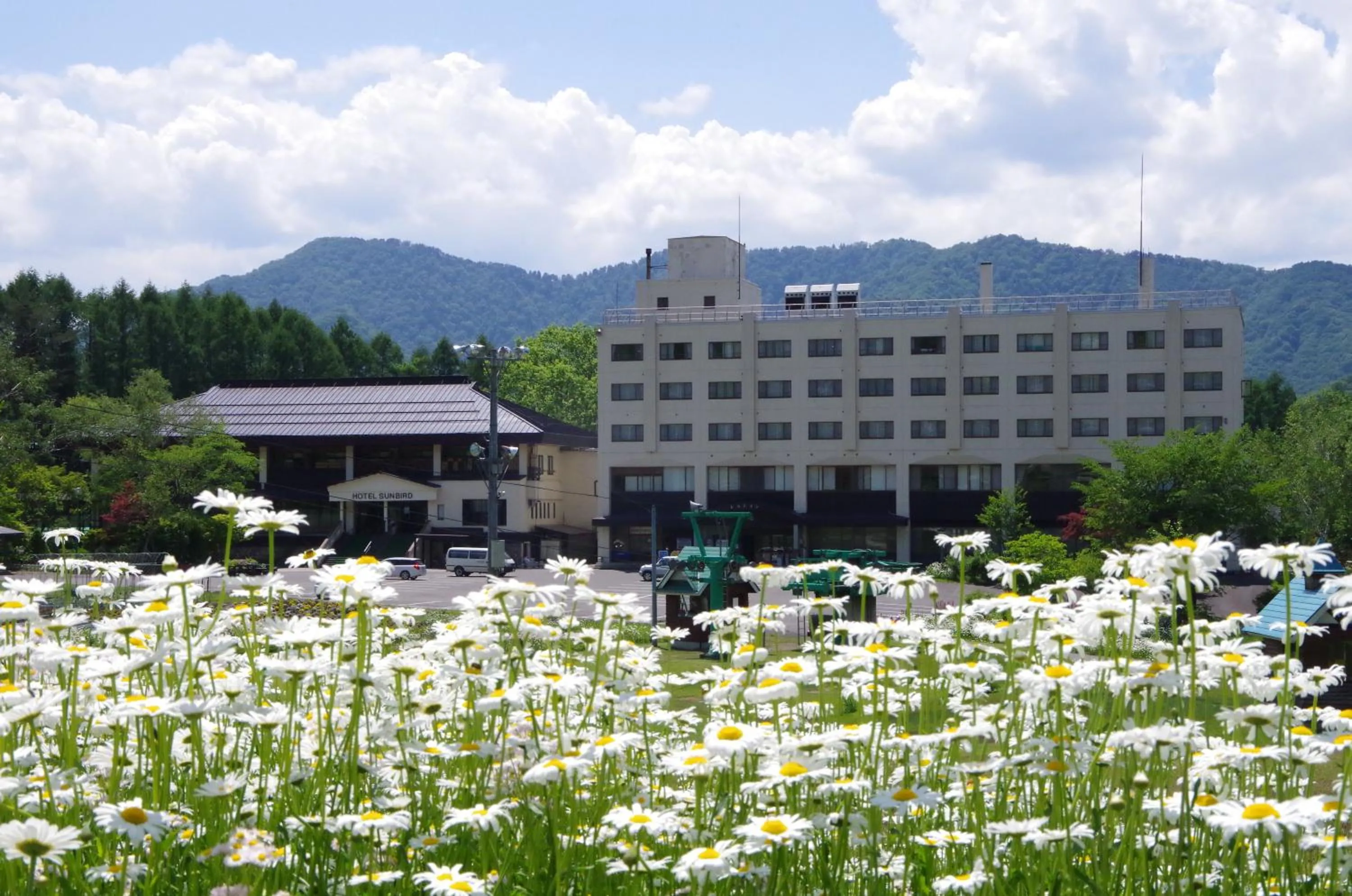 On site in Hotel Sunbird