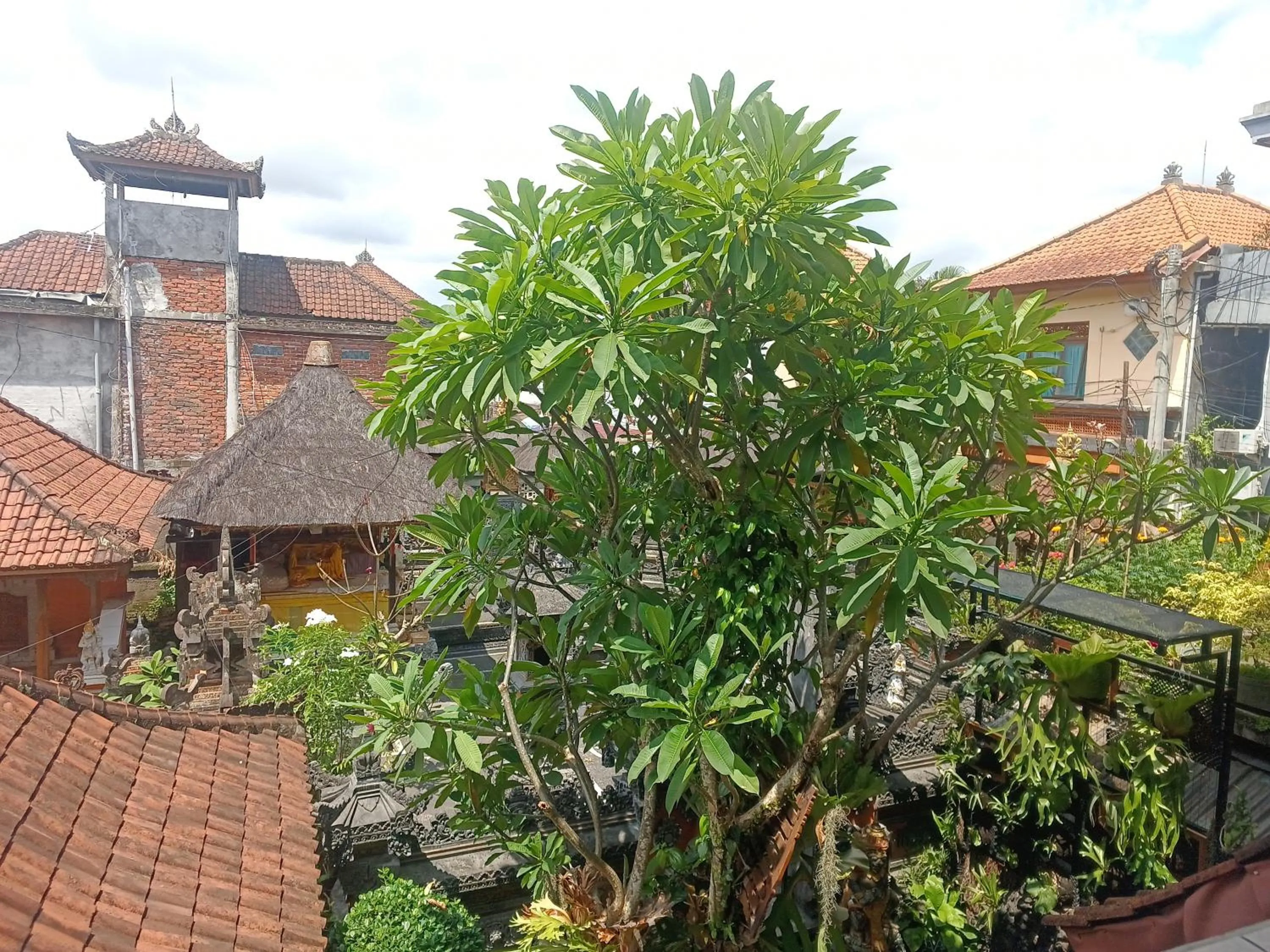 Arjuna Homestay Ubud
