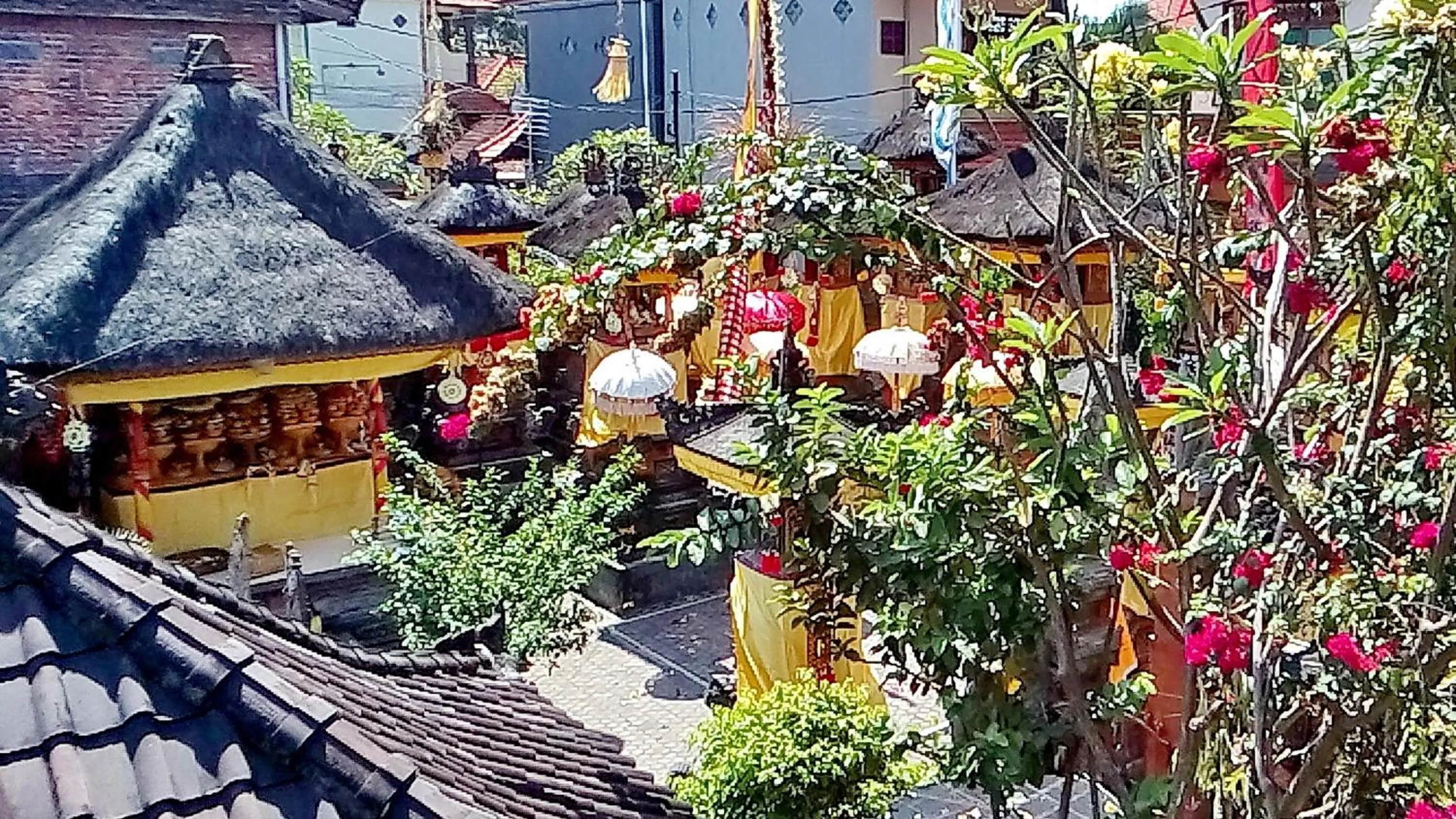 Day in Arjuna Homestay Ubud