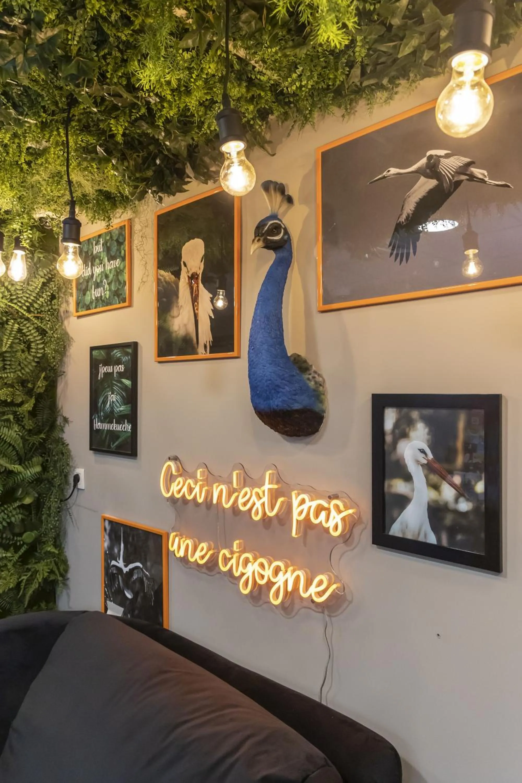 Appart Hotel Odalys City Strasbourg Green Marsh