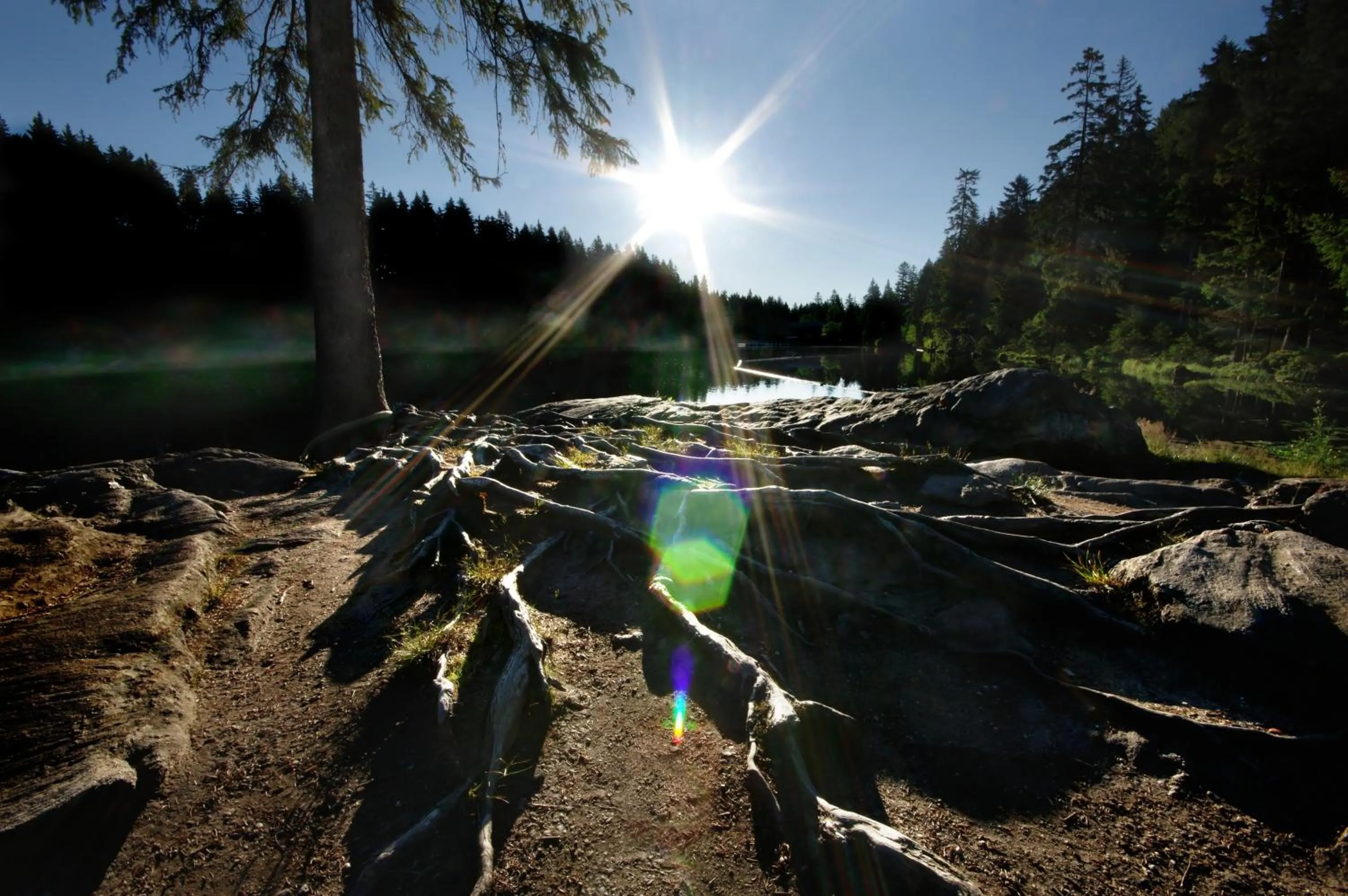 Sonnenhof Resort Bayerischer Wald