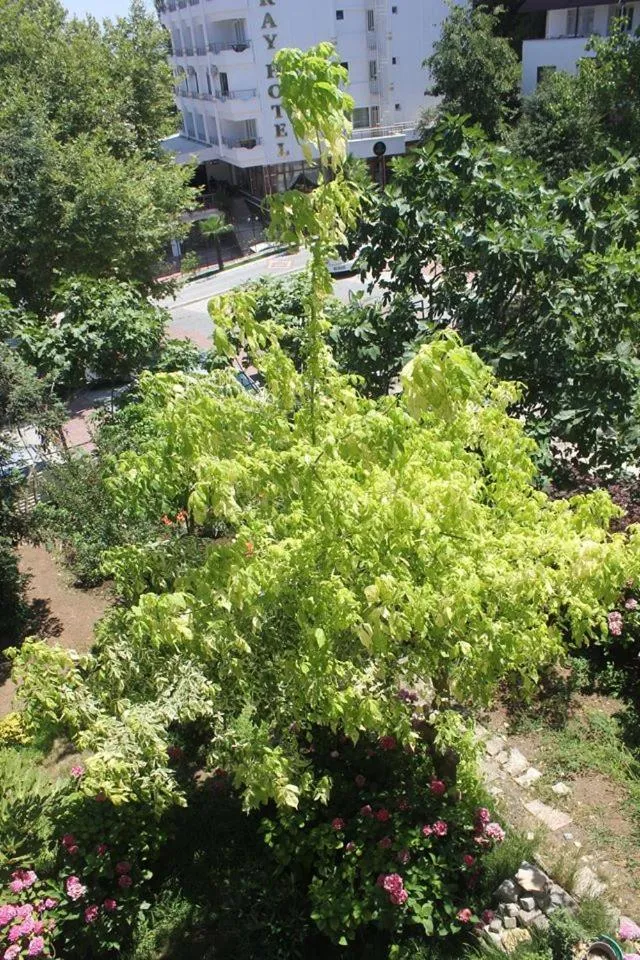 Garden in Thermal Orkide Pansiyon