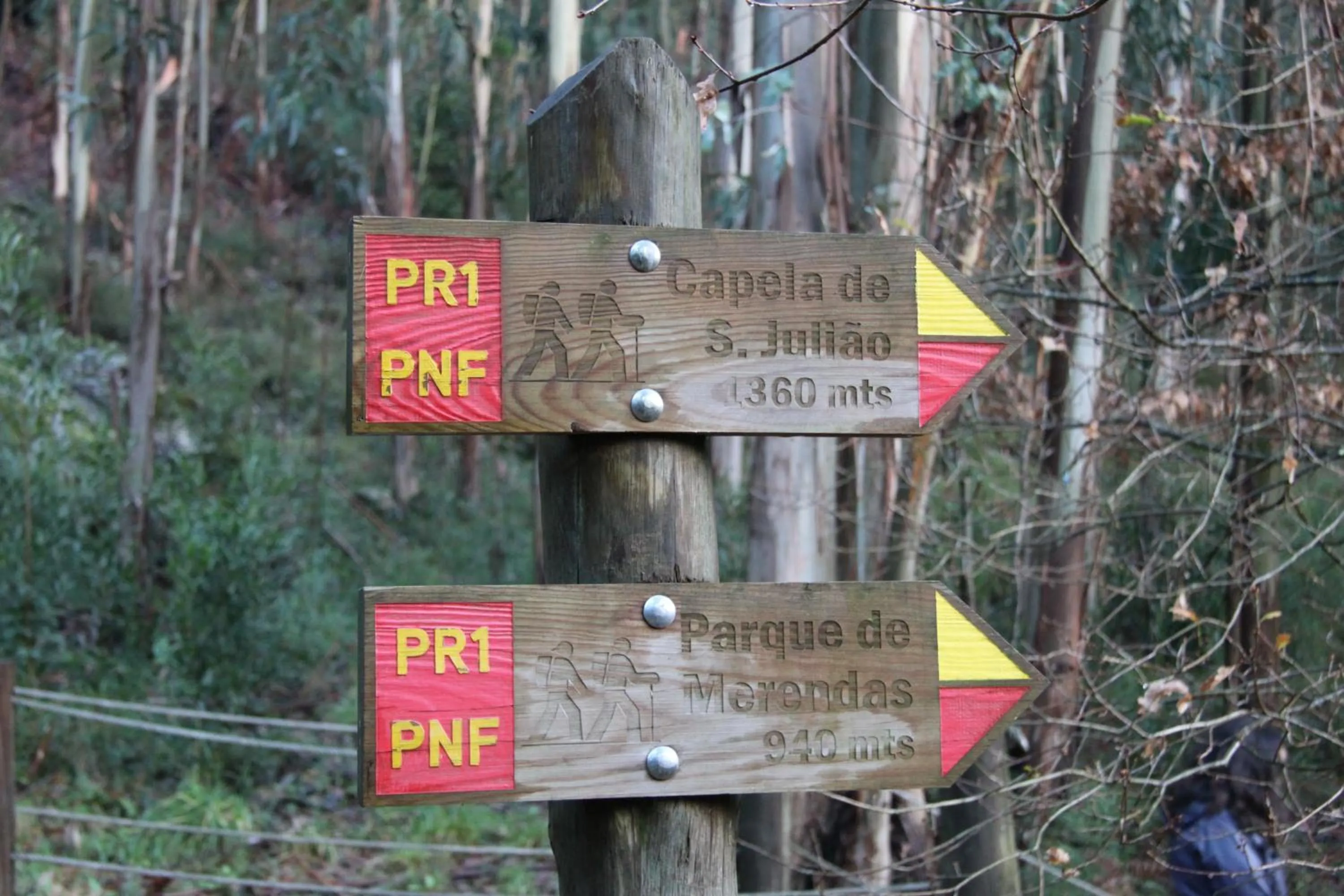 Hiking in Casa Valxisto