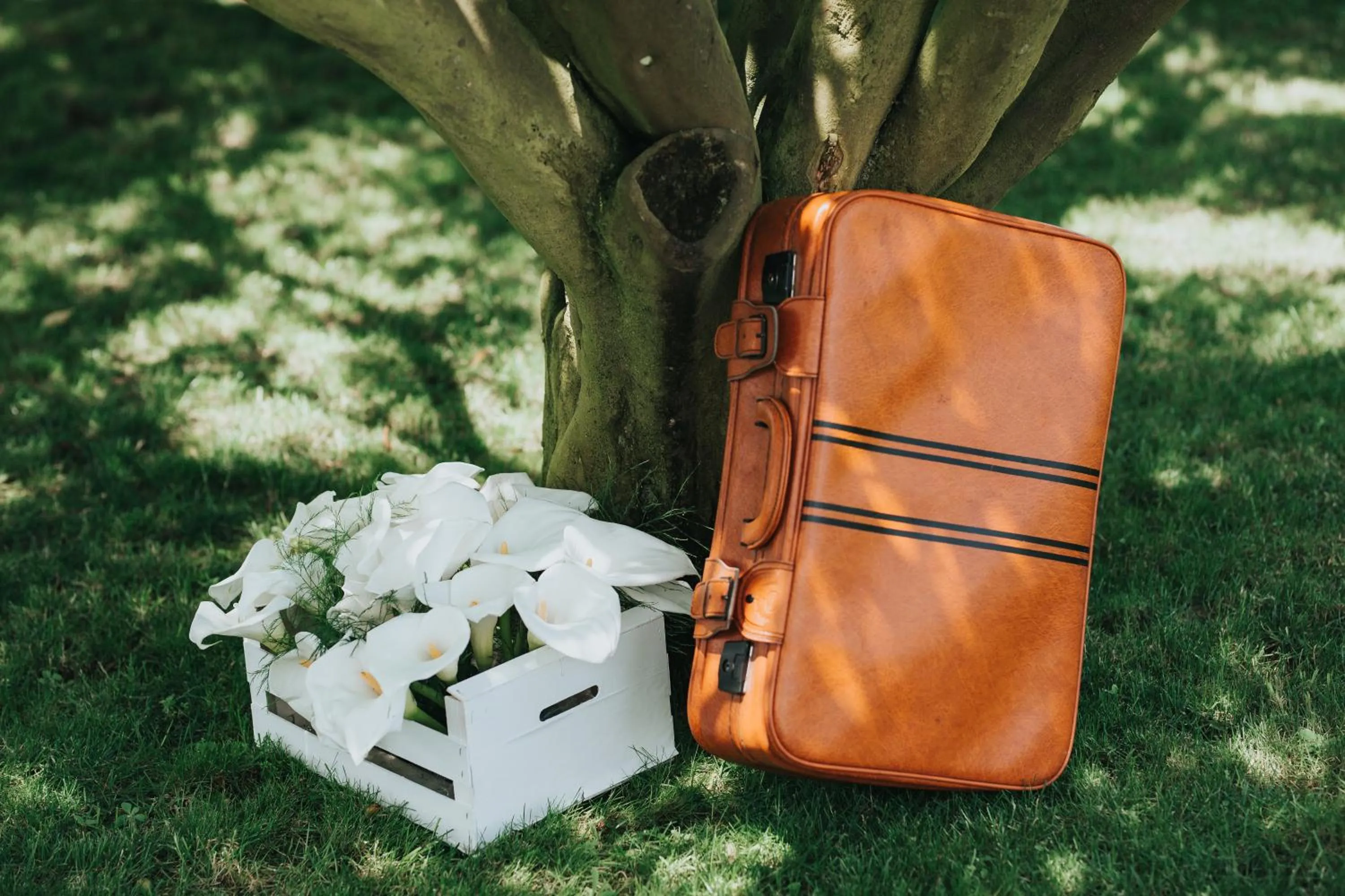 Garden in Casa Valxisto