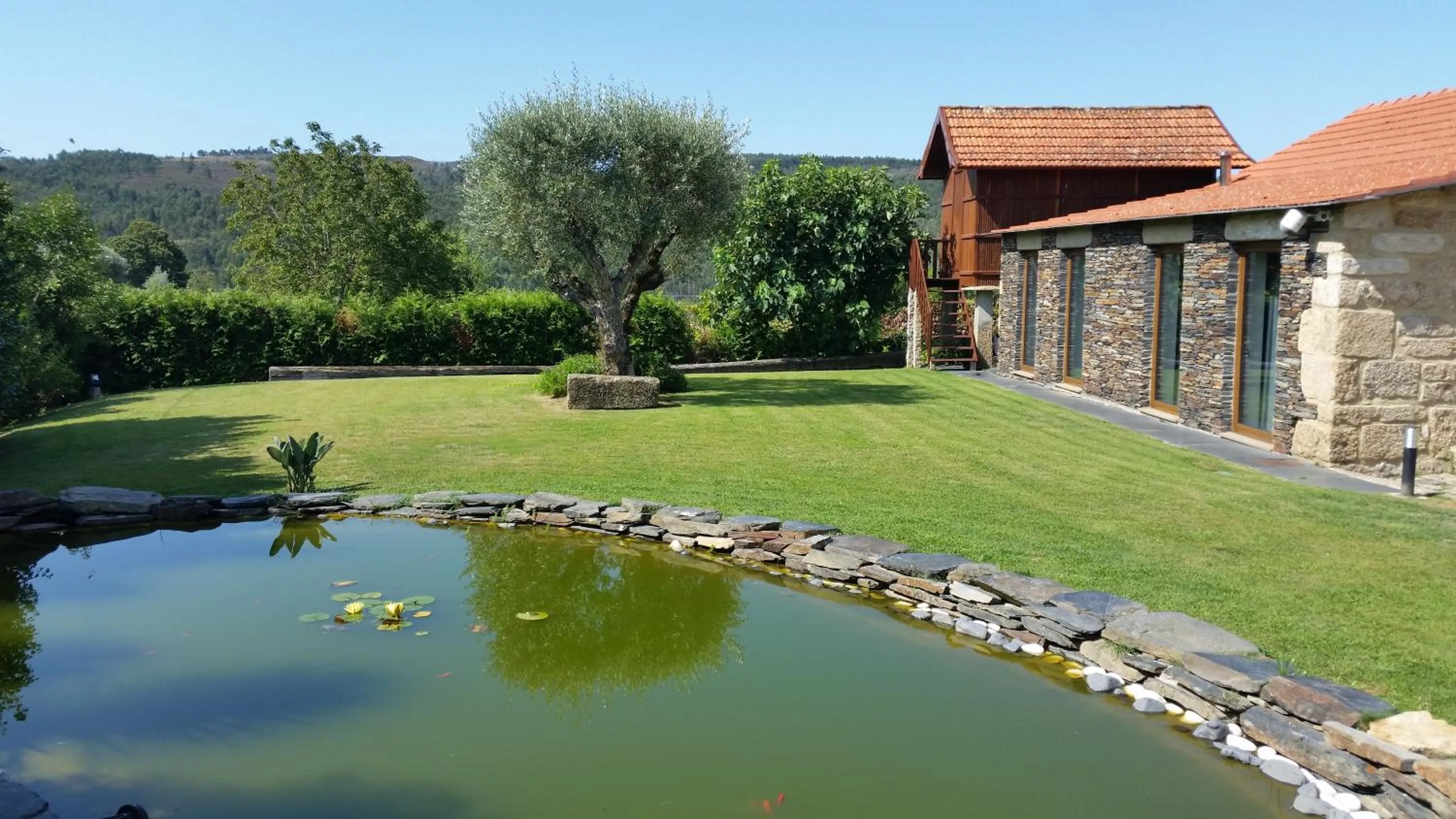 Garden in Casa Valxisto