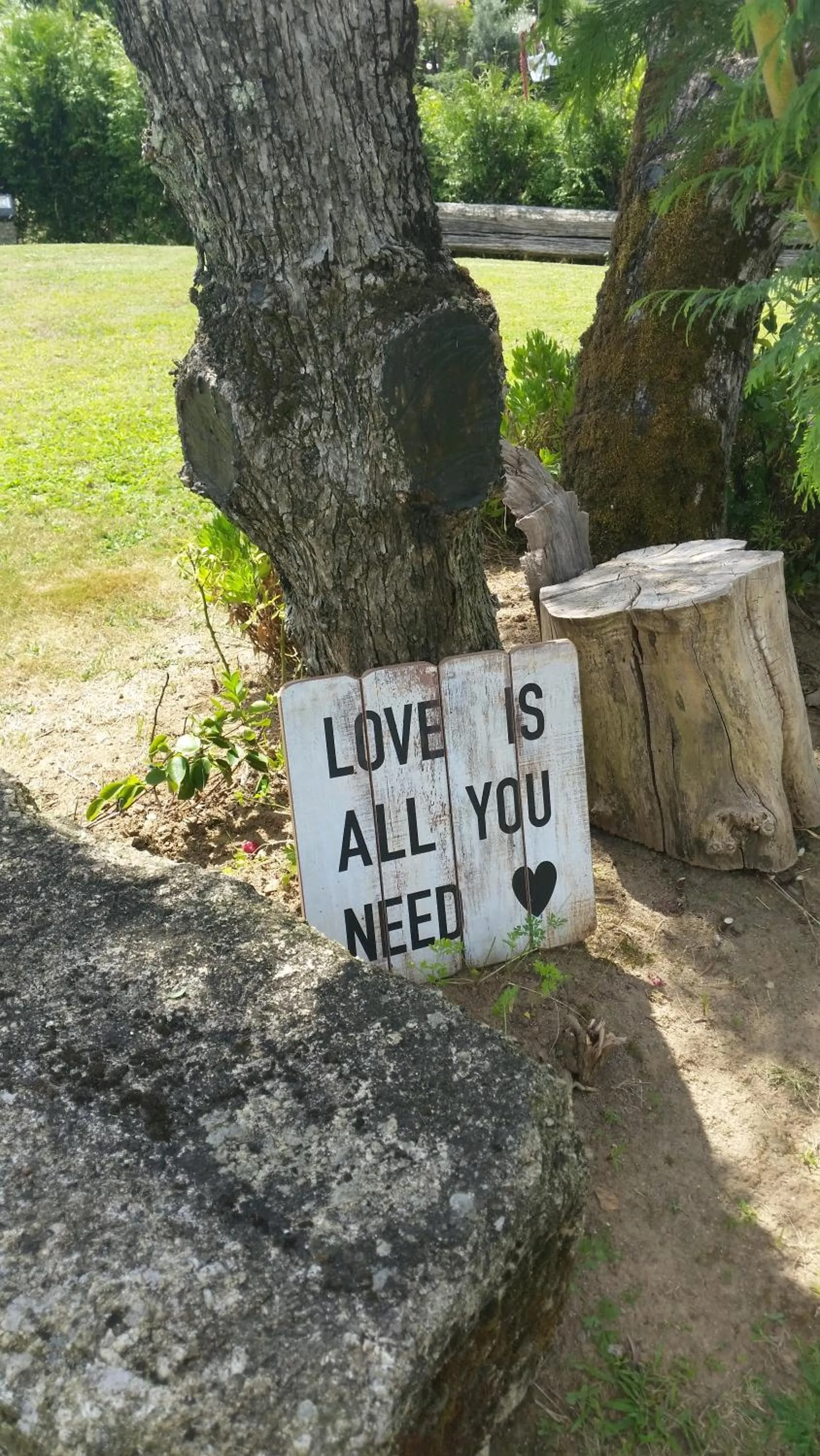 Garden view in Casa Valxisto