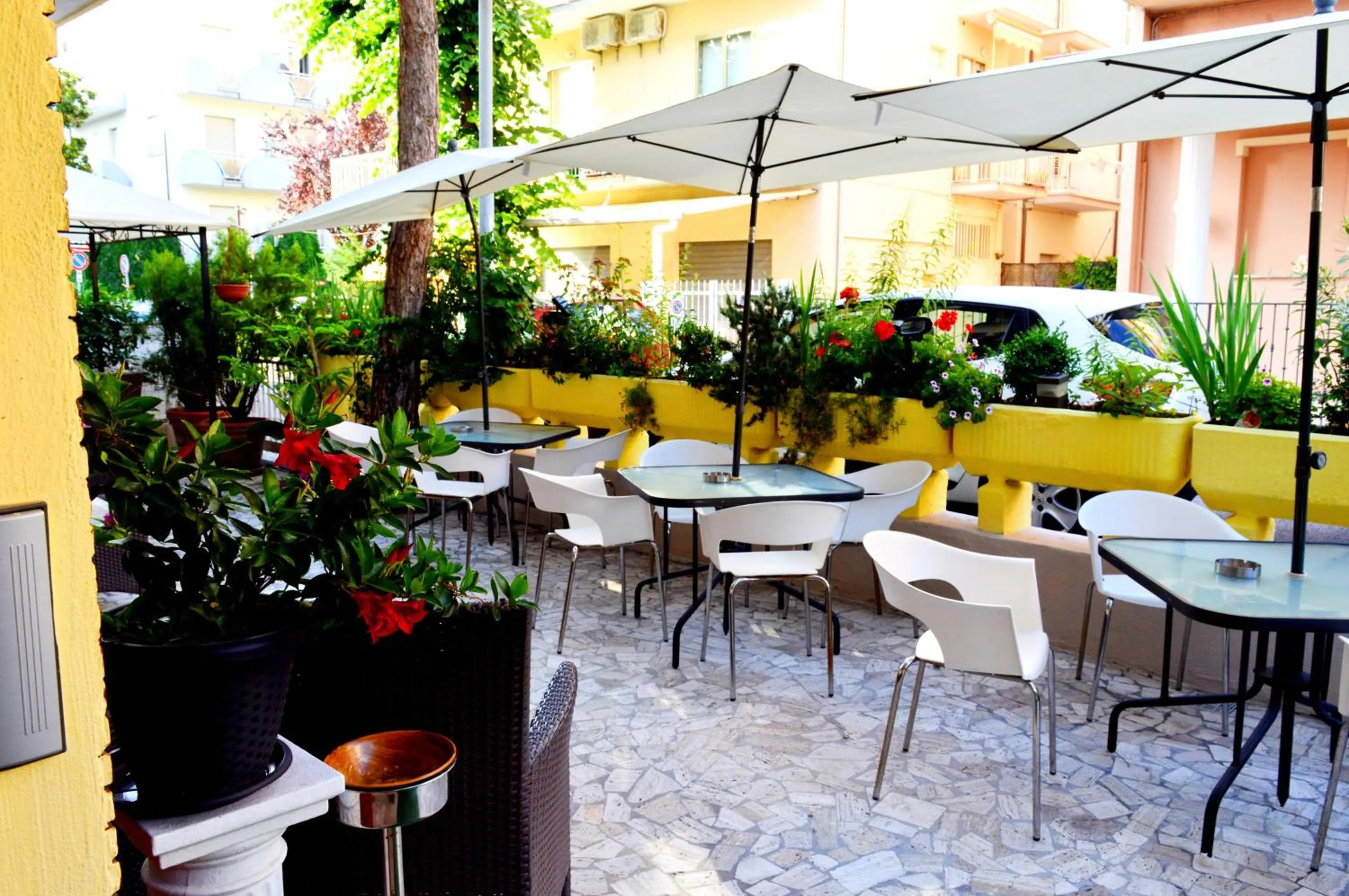 Garden in Hotel Cirene