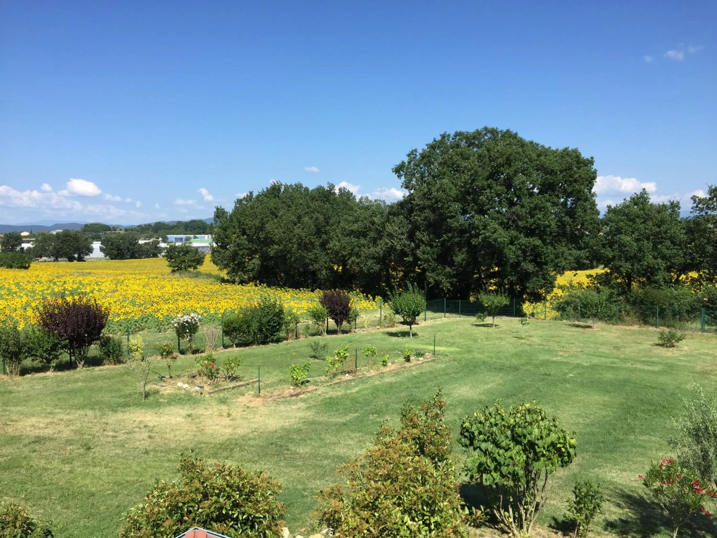 Natural landscape in Le Mas Lauralie