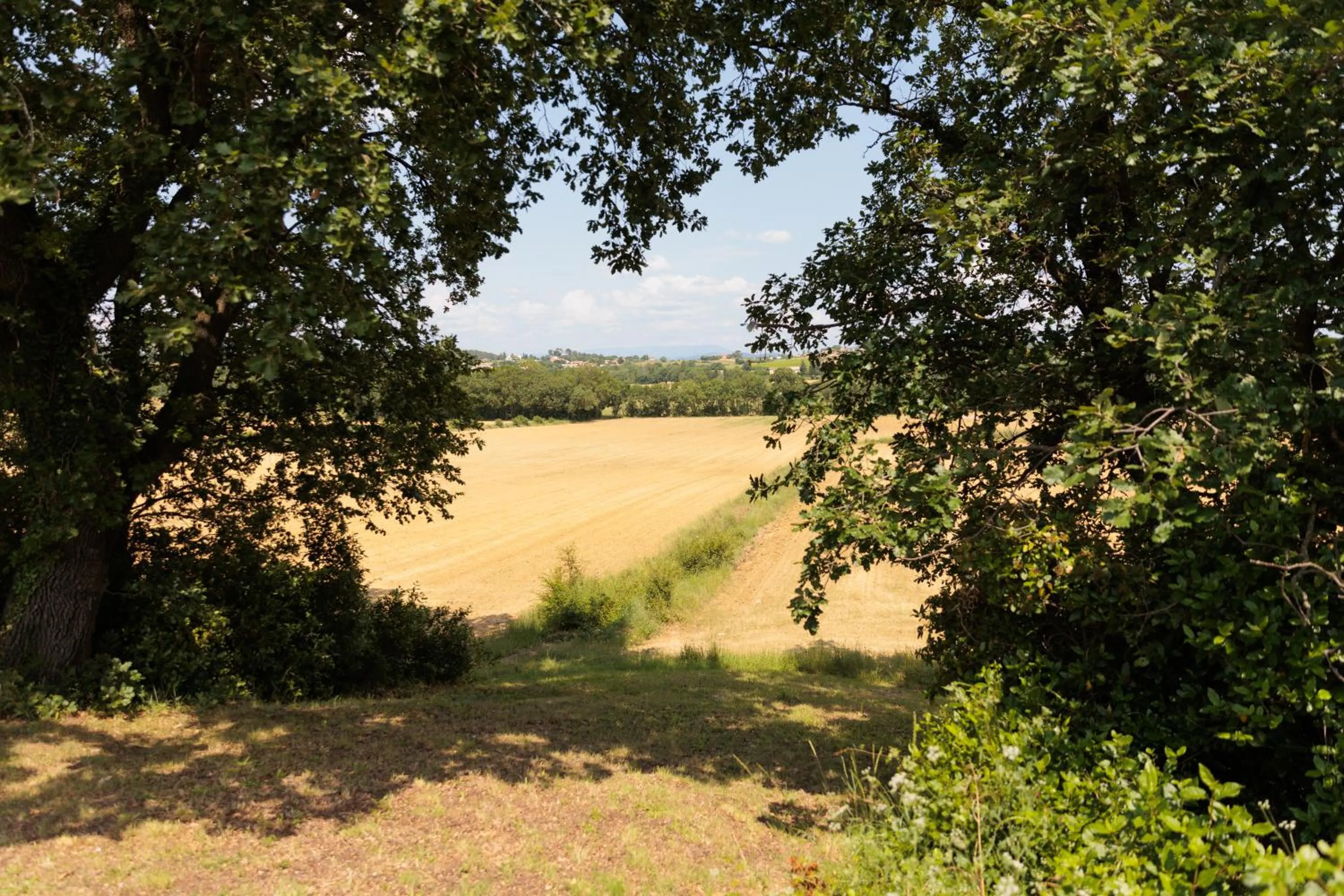 Natural landscape in Le Mas Lauralie