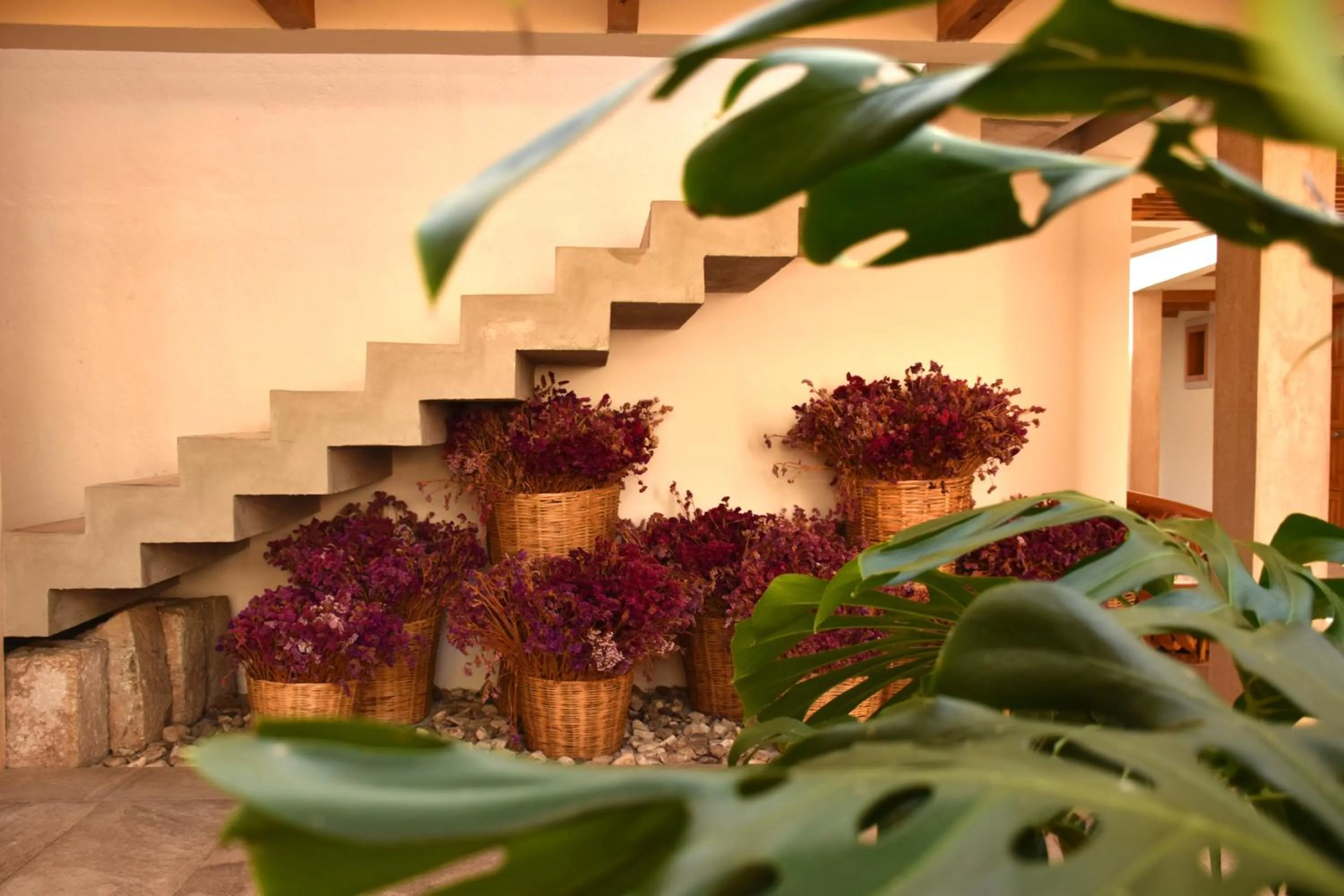 Garden in Hotel Mansion Primavera