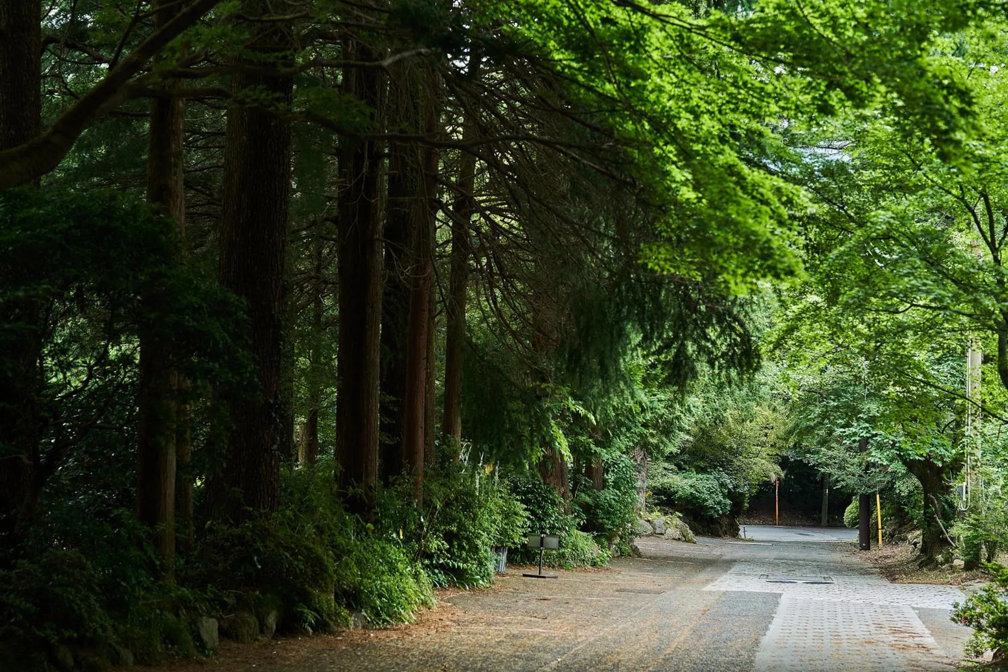 Neighbourhood in Ajisai Onsen Ryokan - Award Winning Private Open Air Onsen
