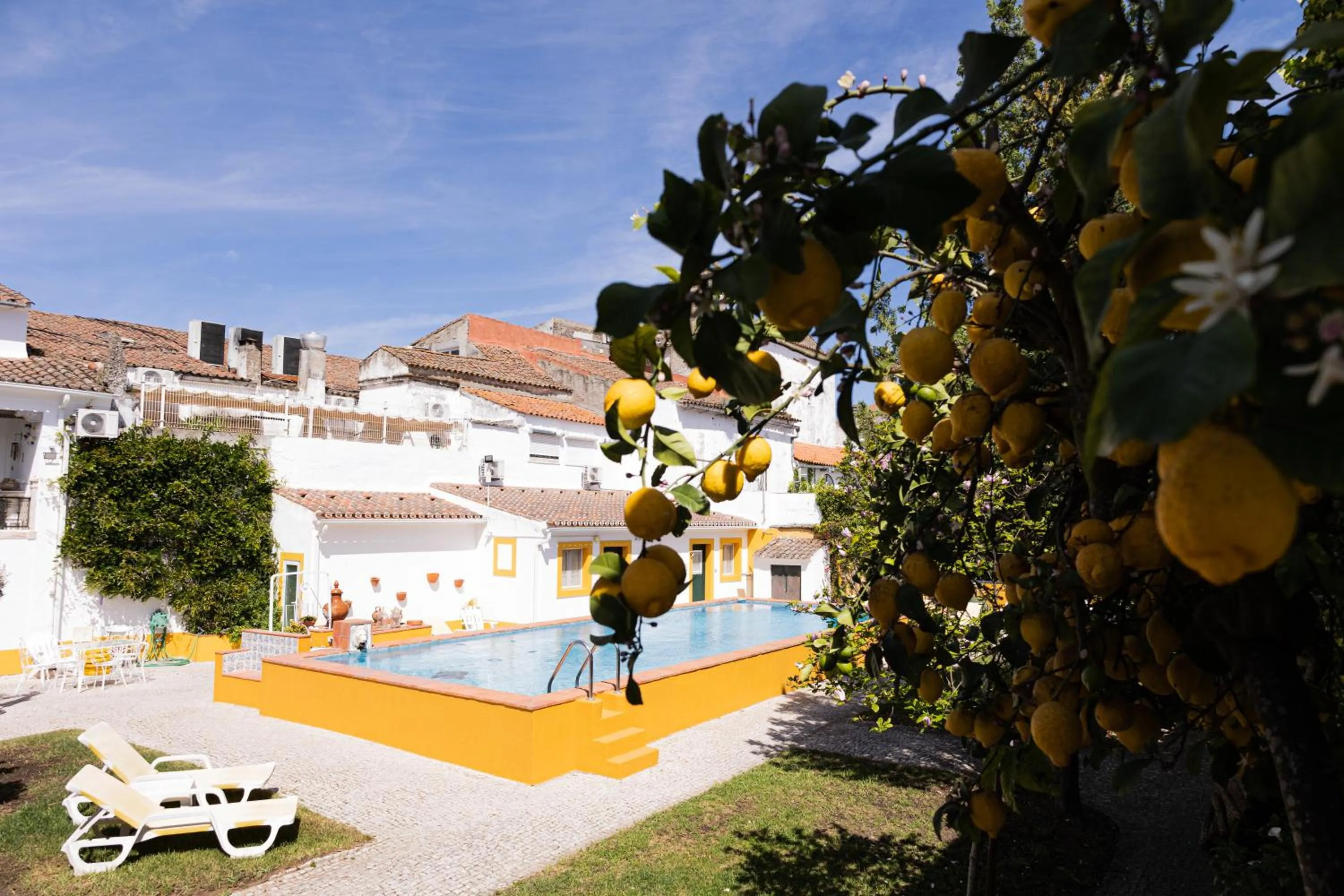 Spring in Vintage Guest House - Casa do Escritor